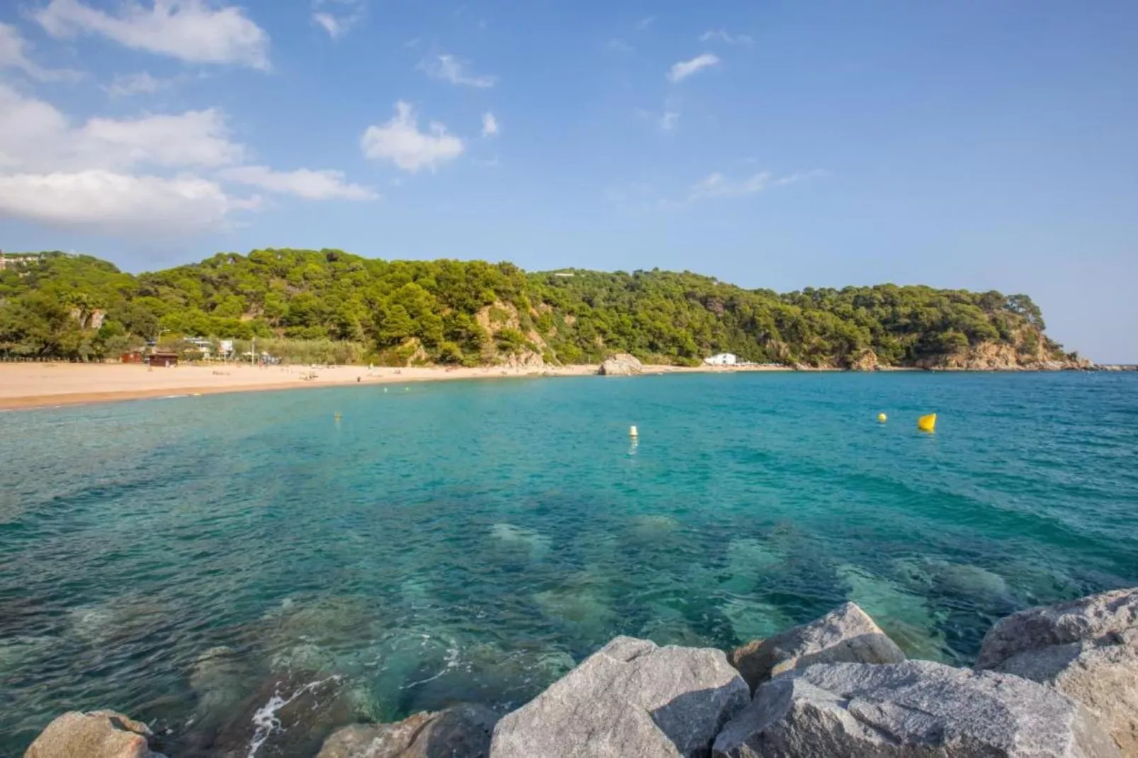 Cora-Gebiete Sommer 5 km