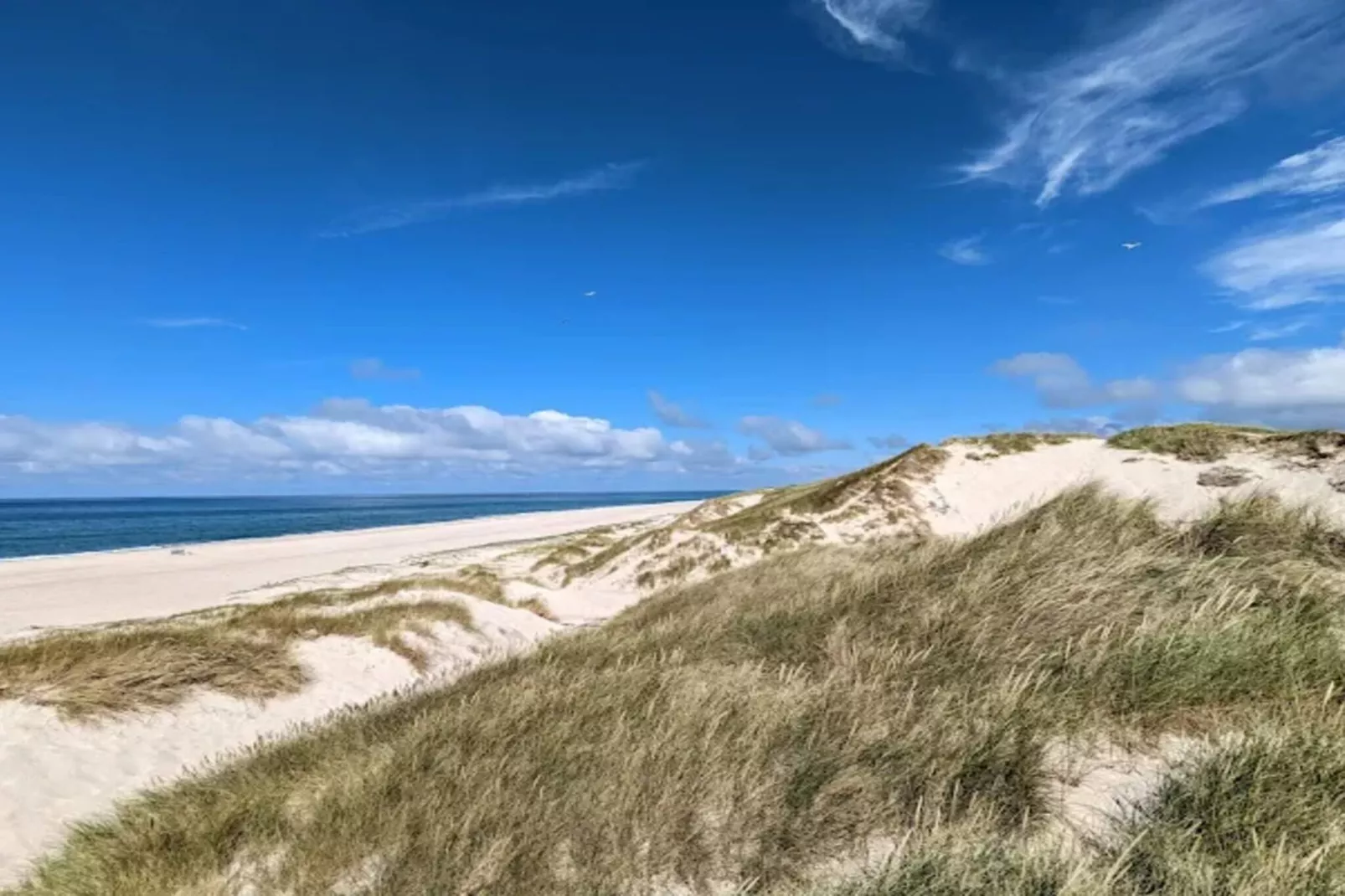 4 Sterne Ferienhaus in Nørre Nebel-Wasserblick
