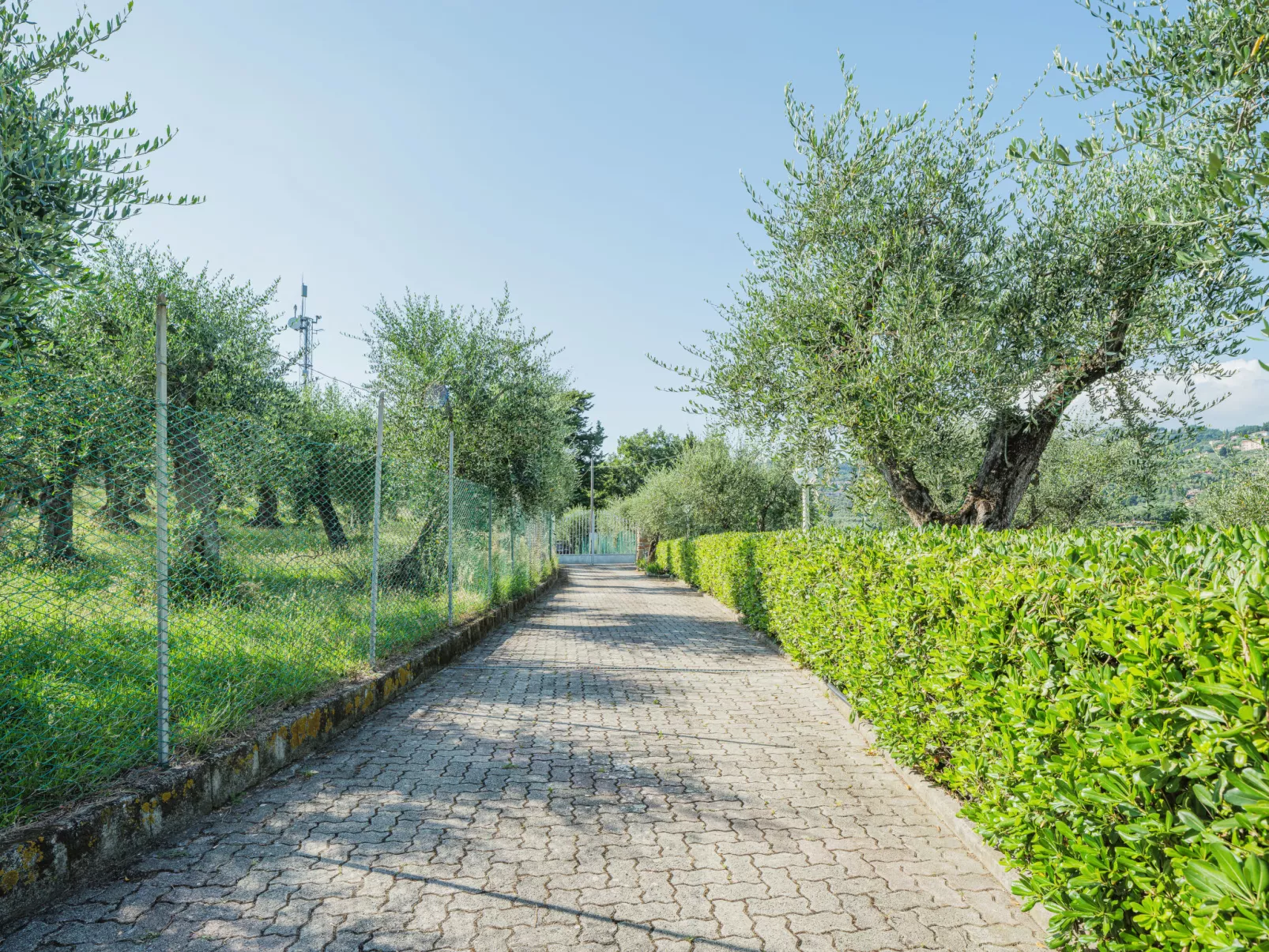 Villa le Casette-Outside