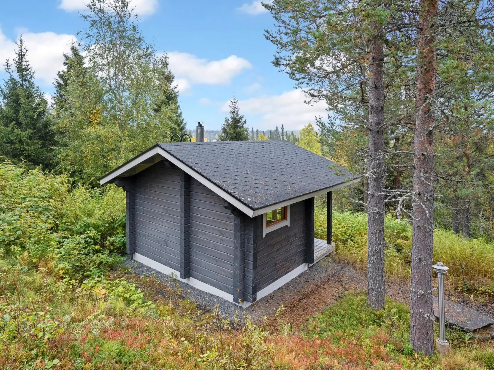 Rukanloisto a-Dedans