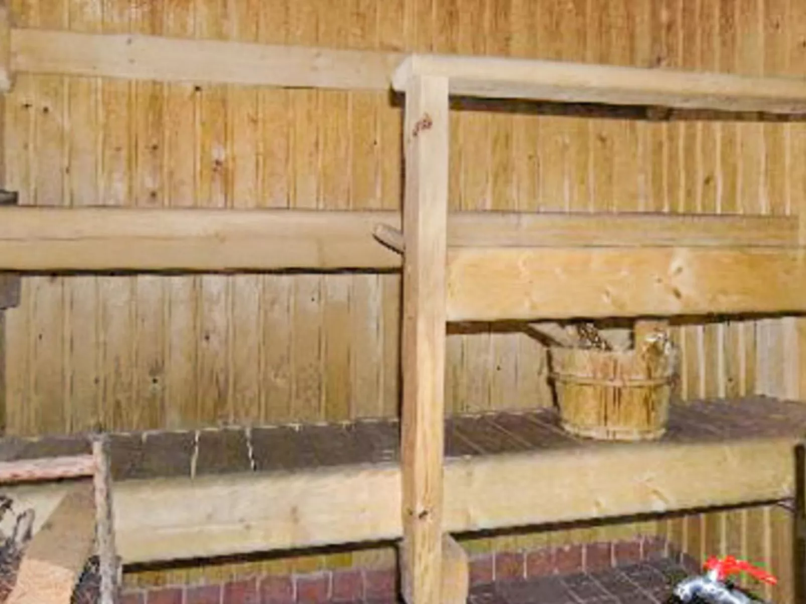 Metsä-iivari-Dedans