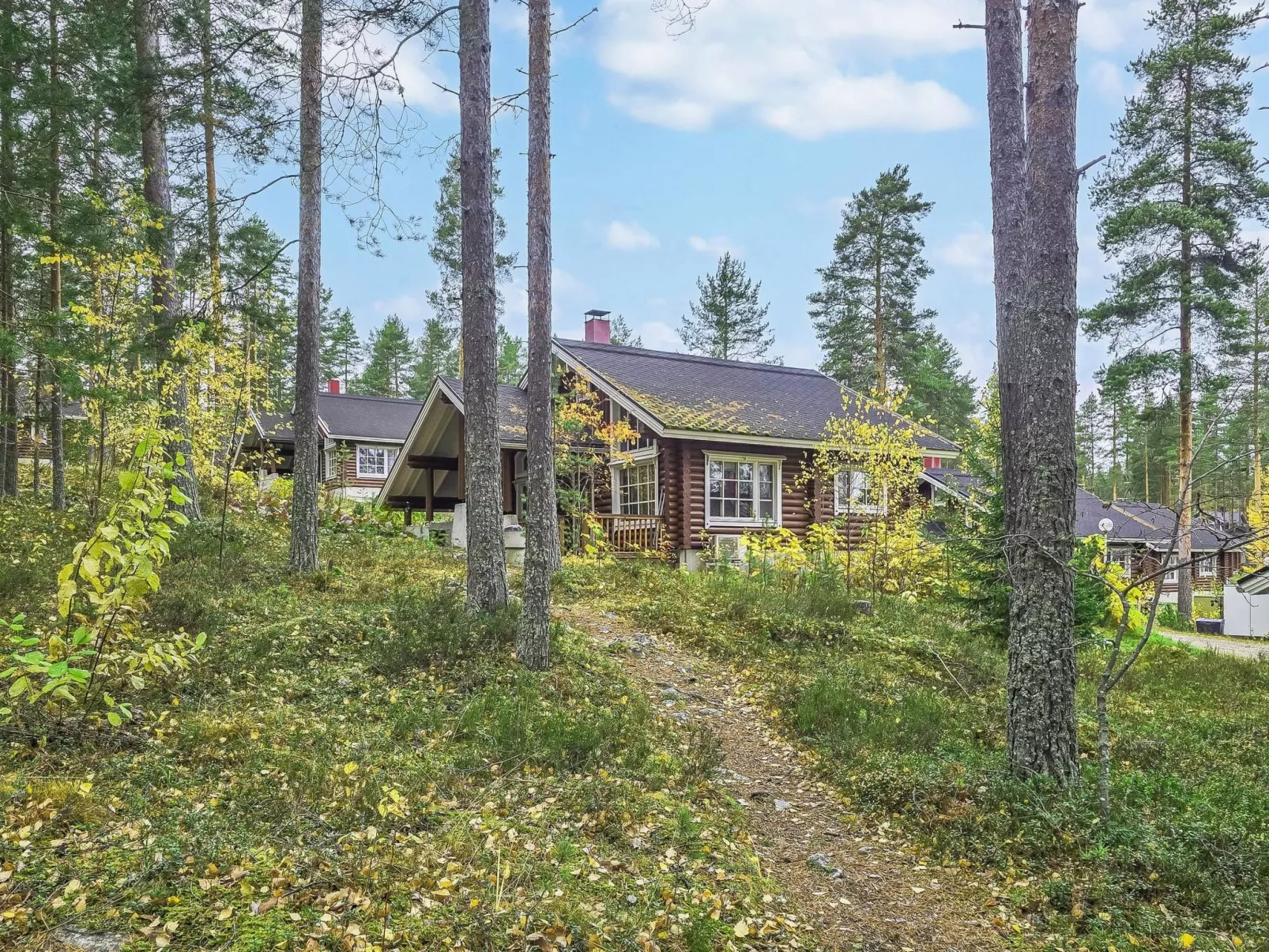 Kolin vernetti 1-Dedans