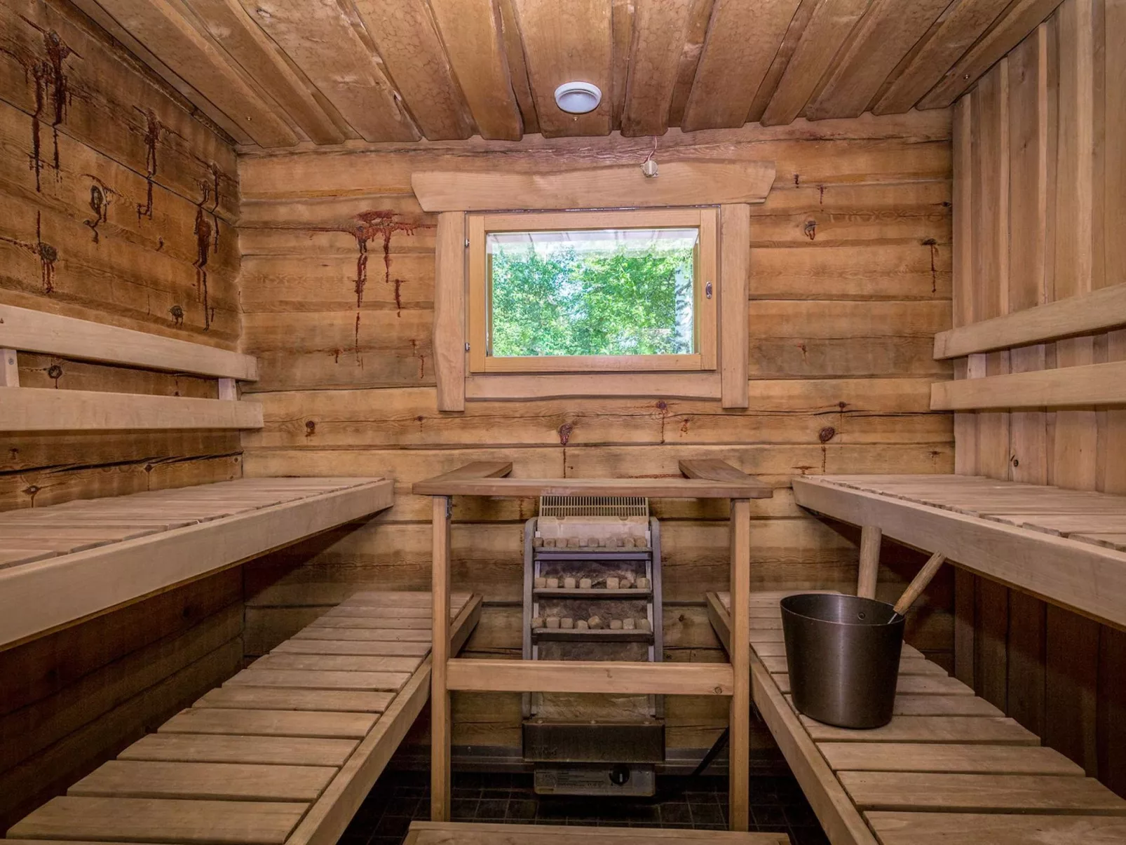 Koivuniemen rouva-Inside