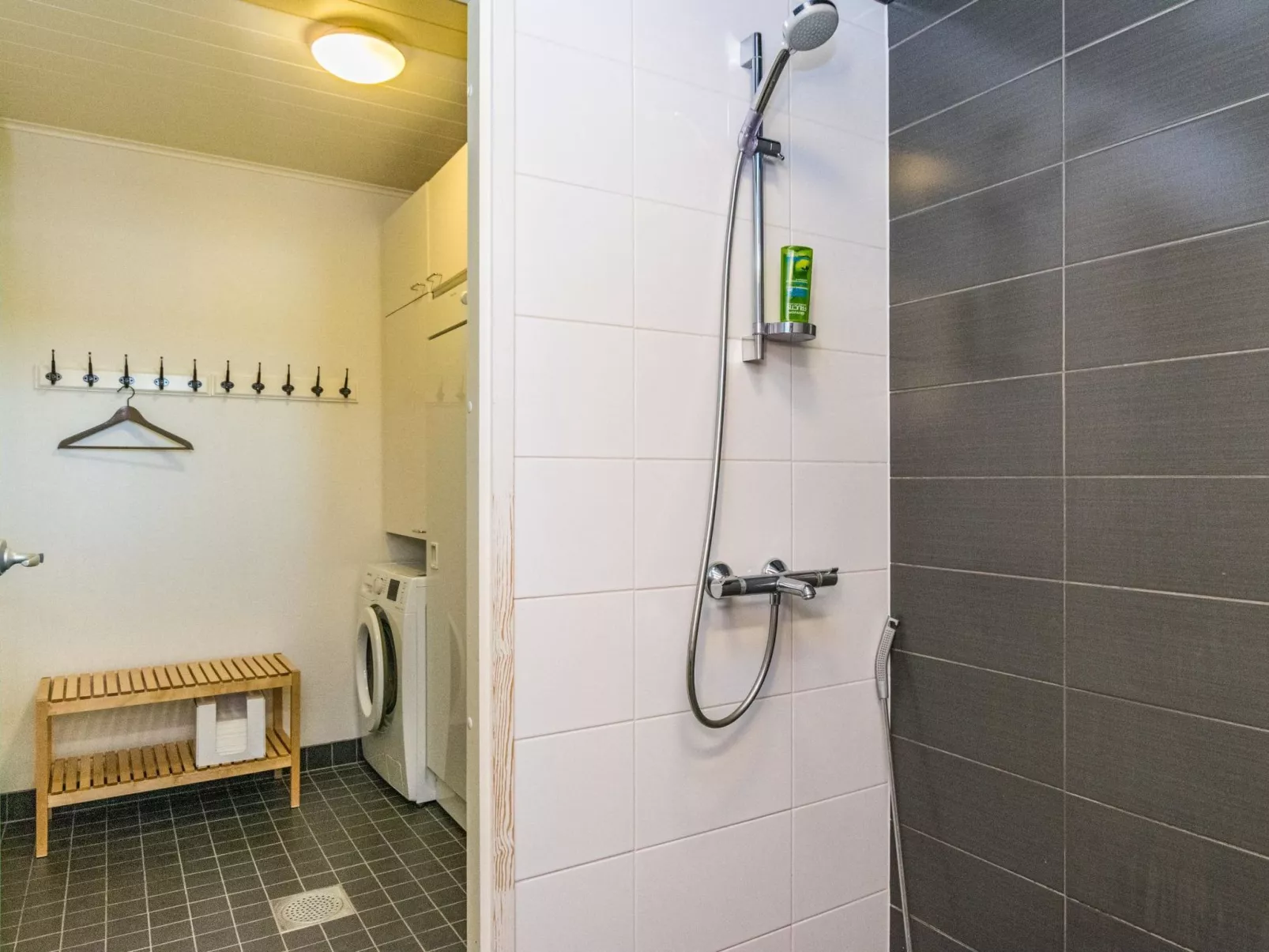 Skivillas 78 ukkohalla (1)-Dedans