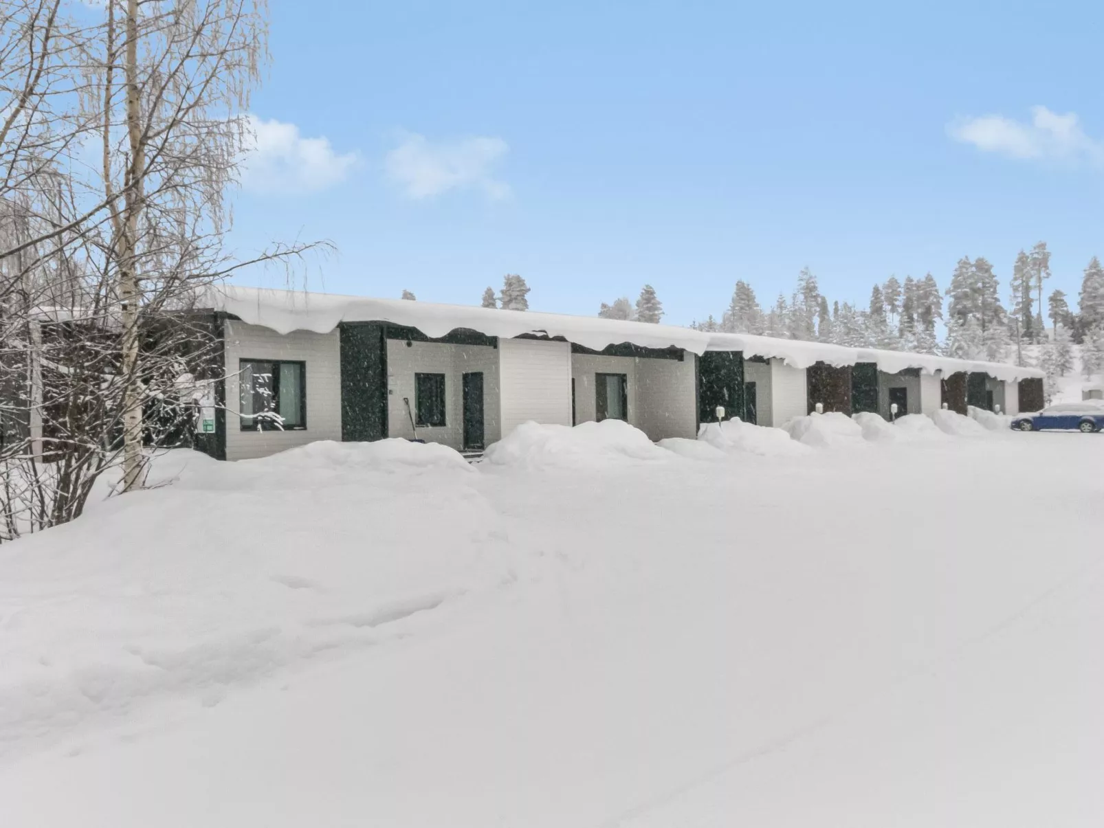 Skivillas paljakka 8. (3mh)-Dedans