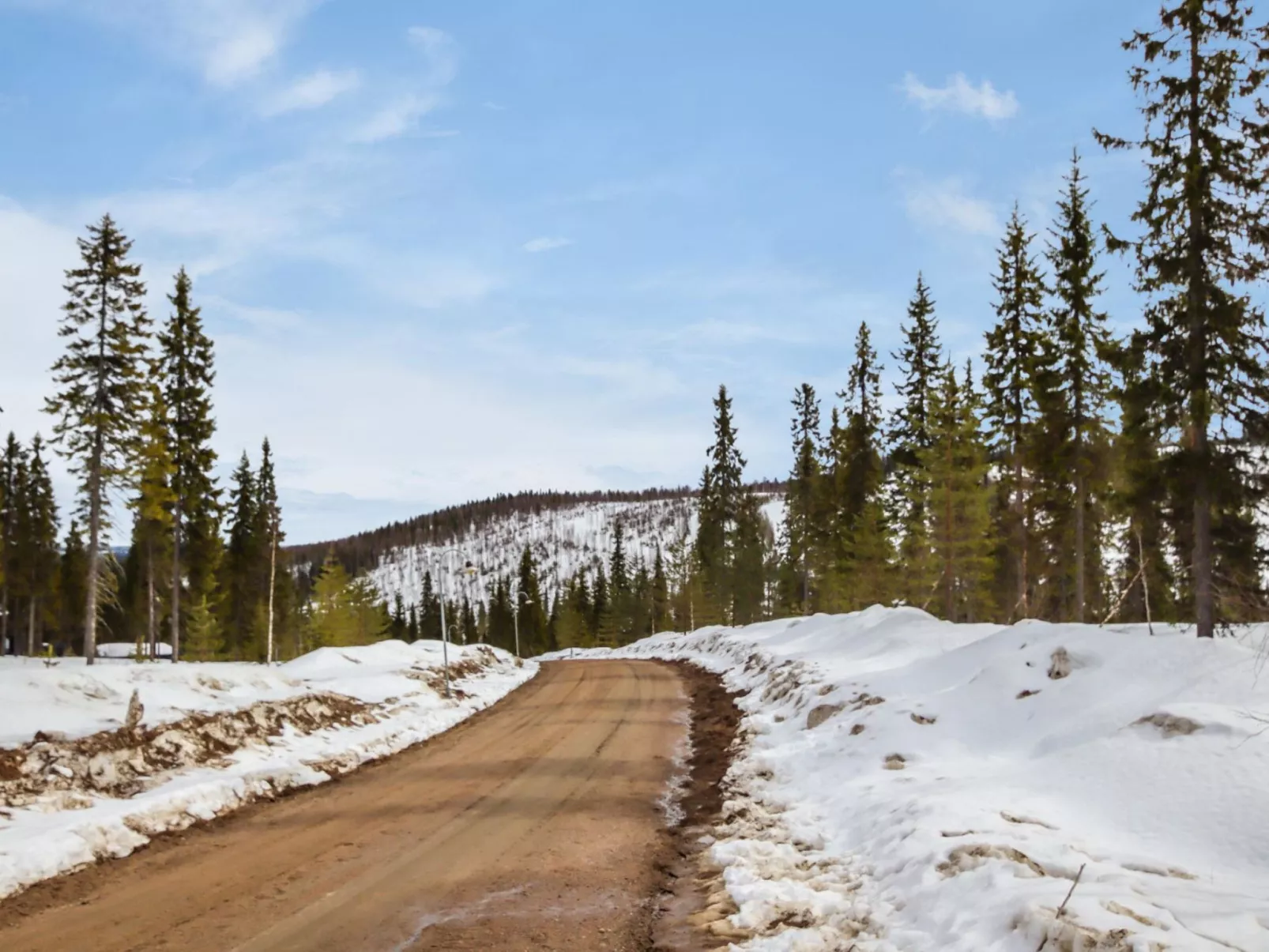 Millantupa paritalo-Dedans