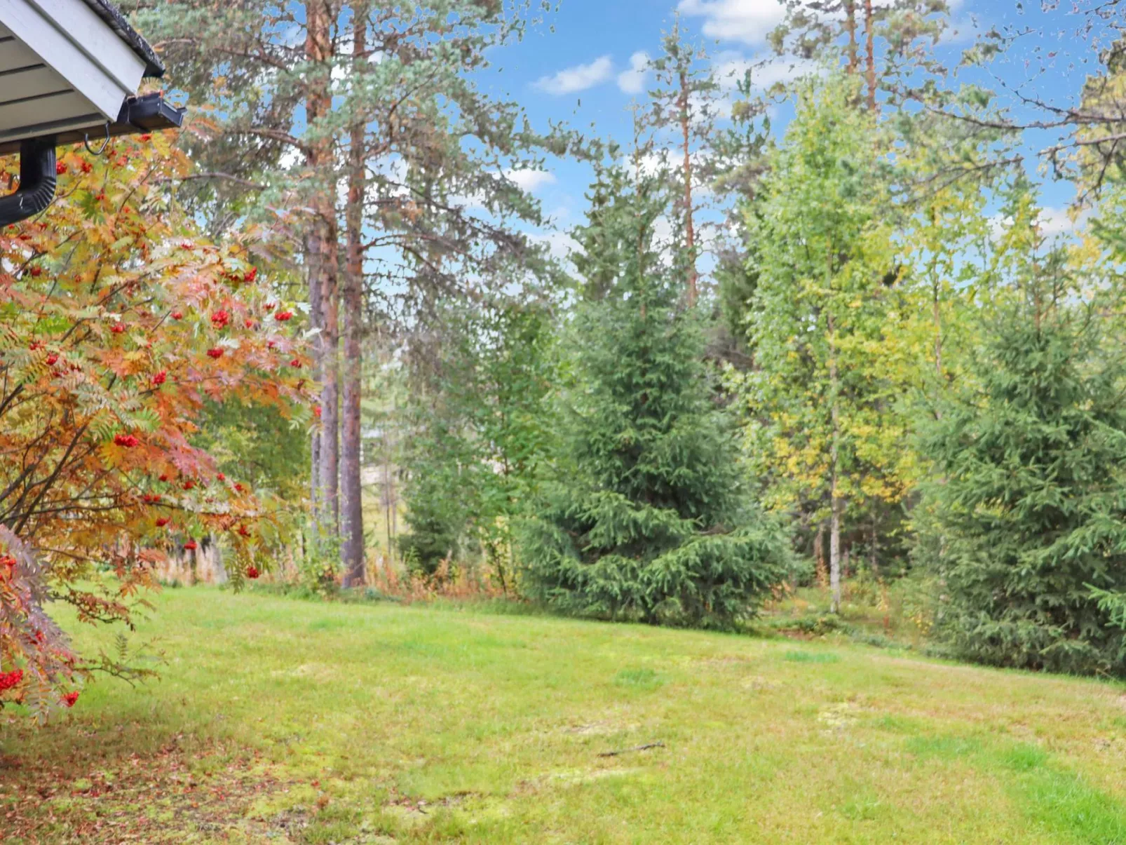 Paljakan pirtit a4-Drinnen