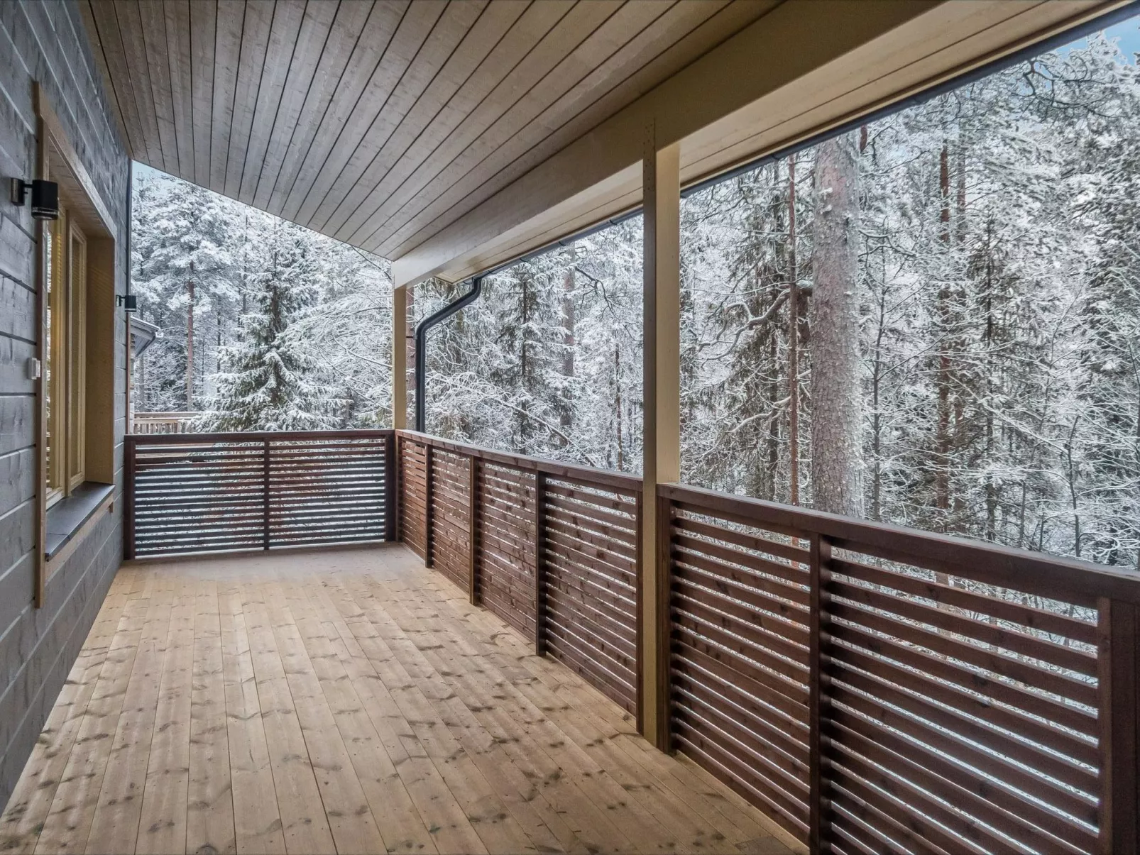 Saukonpesä a-Drinnen