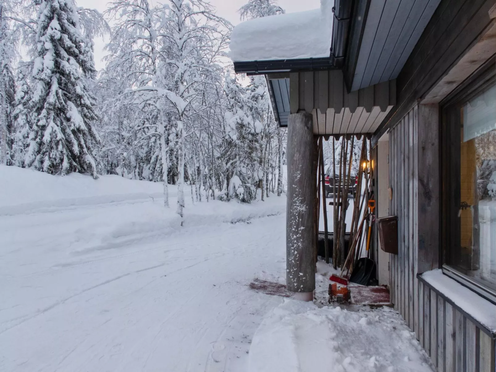 Mustalampi 3 lintukoto-Dedans