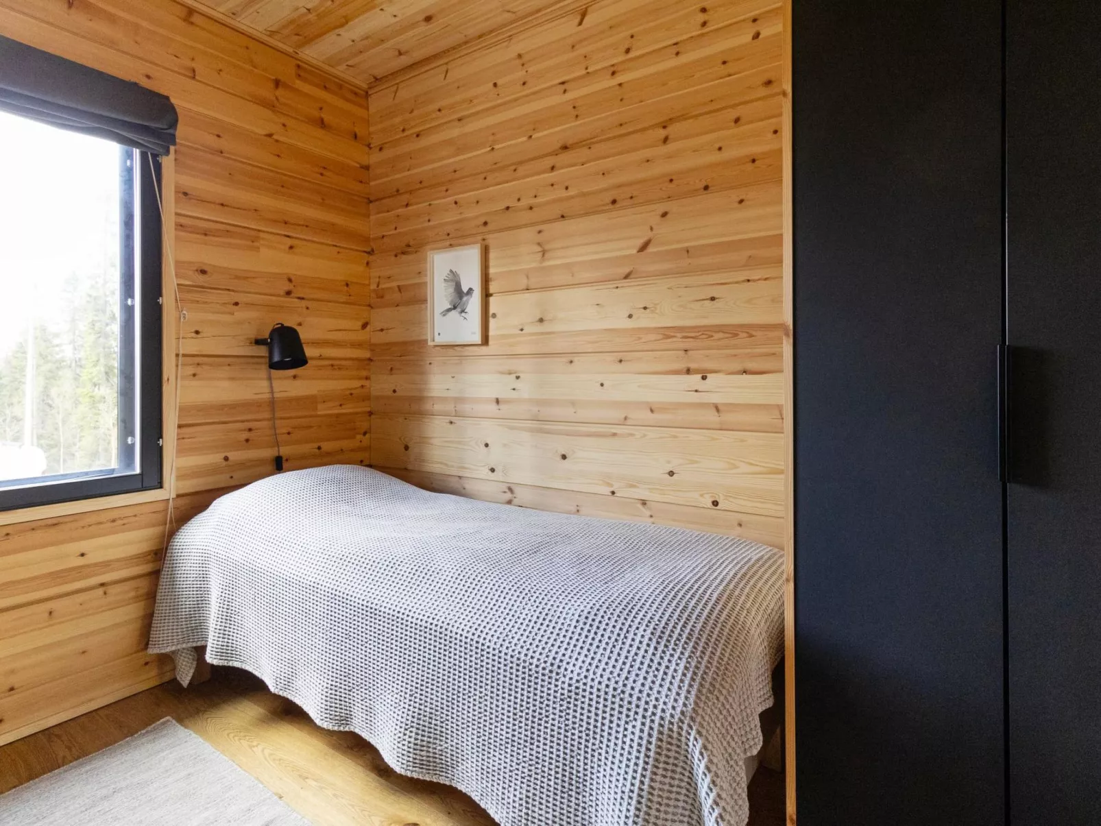 Sallan kuukkeli-Dedans