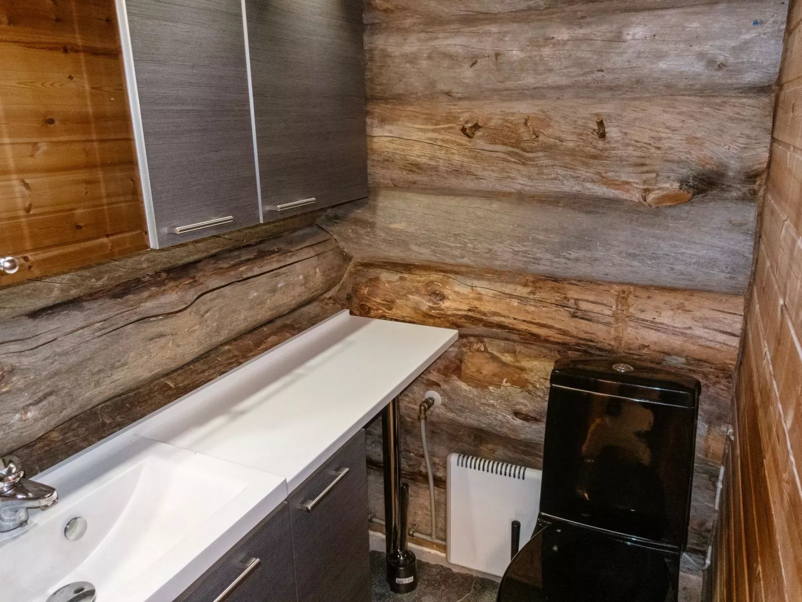 Sallanhelmi b1-Inside