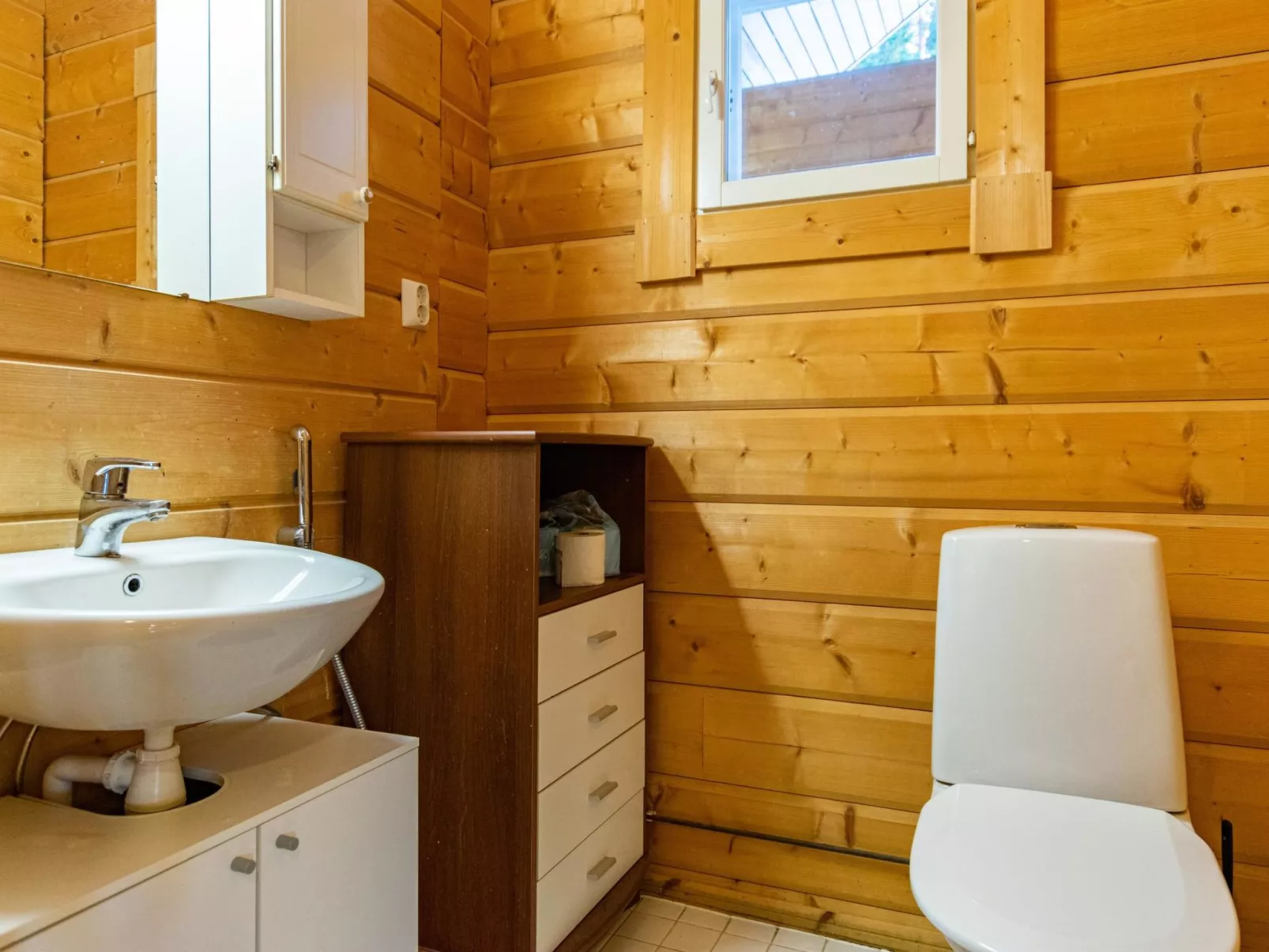 Näsinjoutsen-Dedans