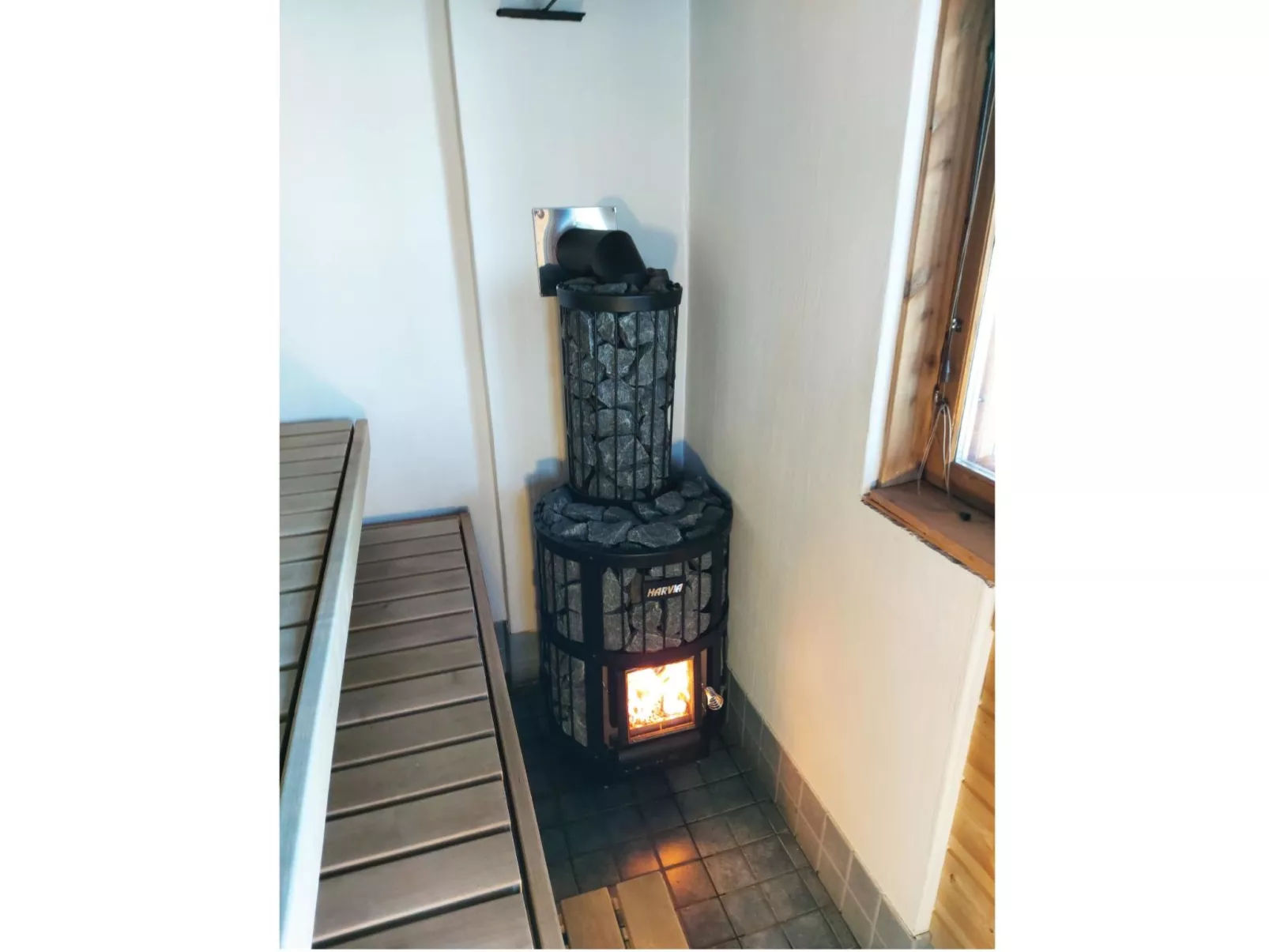 Puolen hehtaarin metsä-Inside