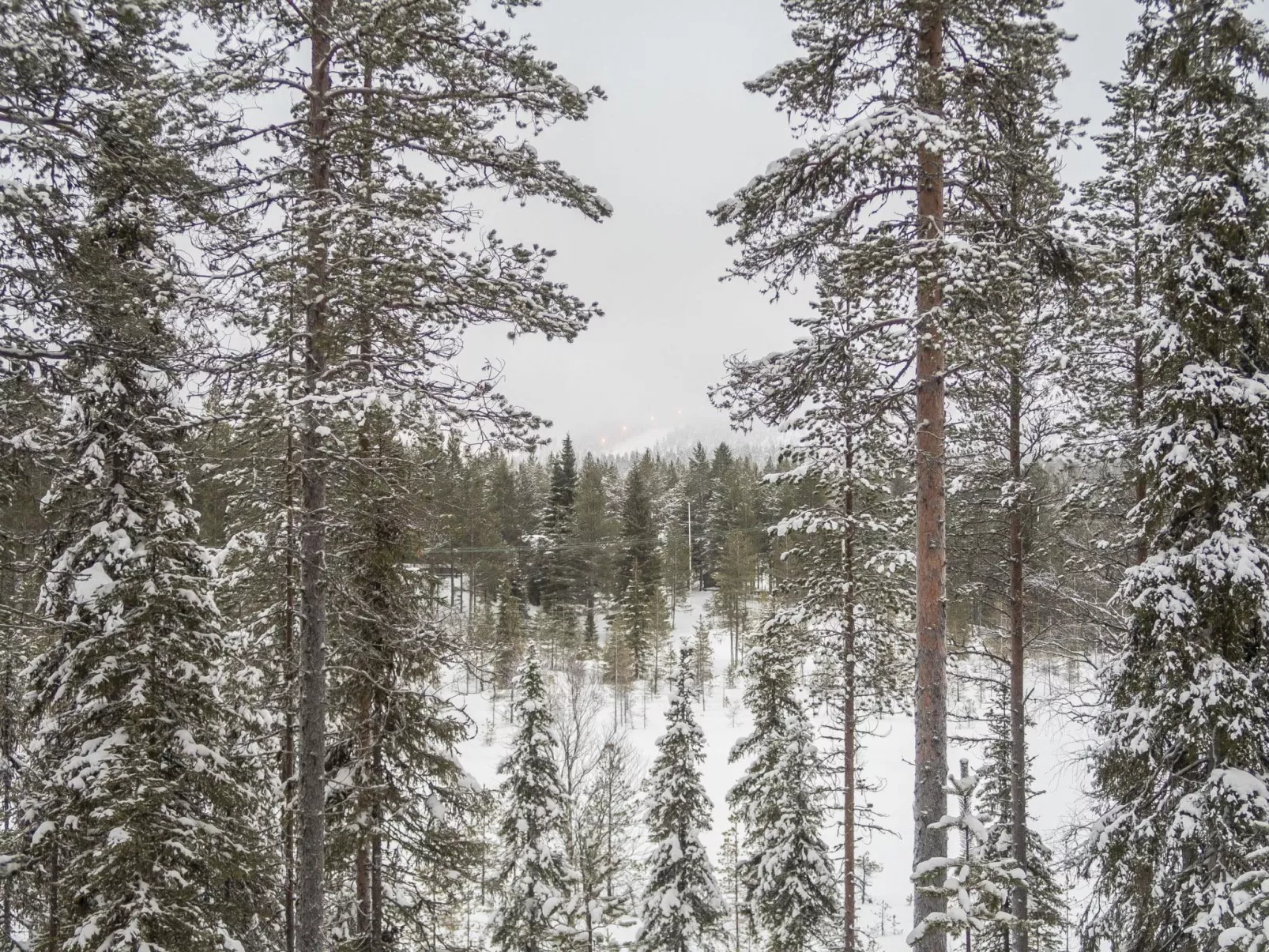 Saukkokumpu 3-Dedans