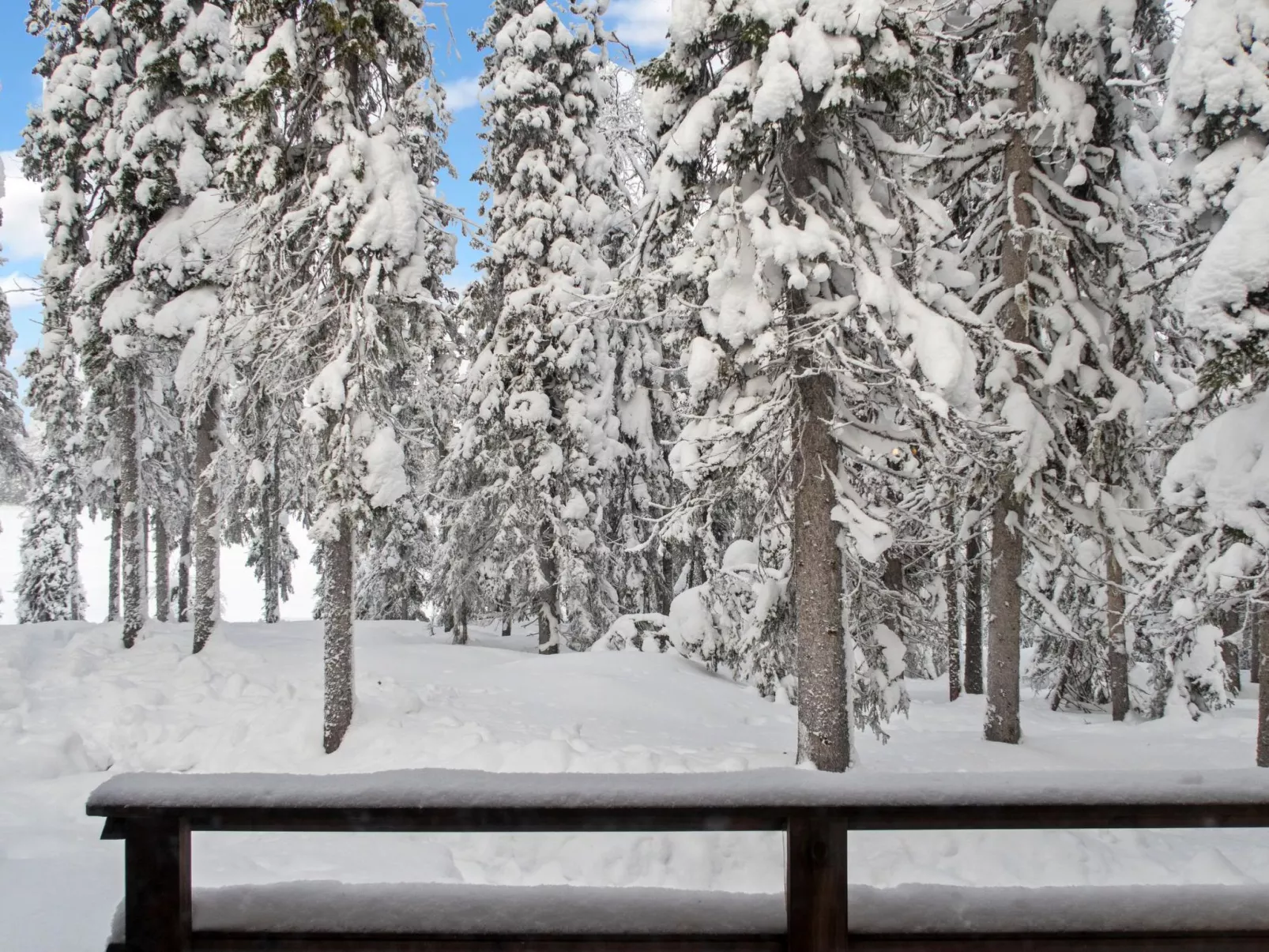 Villa jaloranta a-Dedans