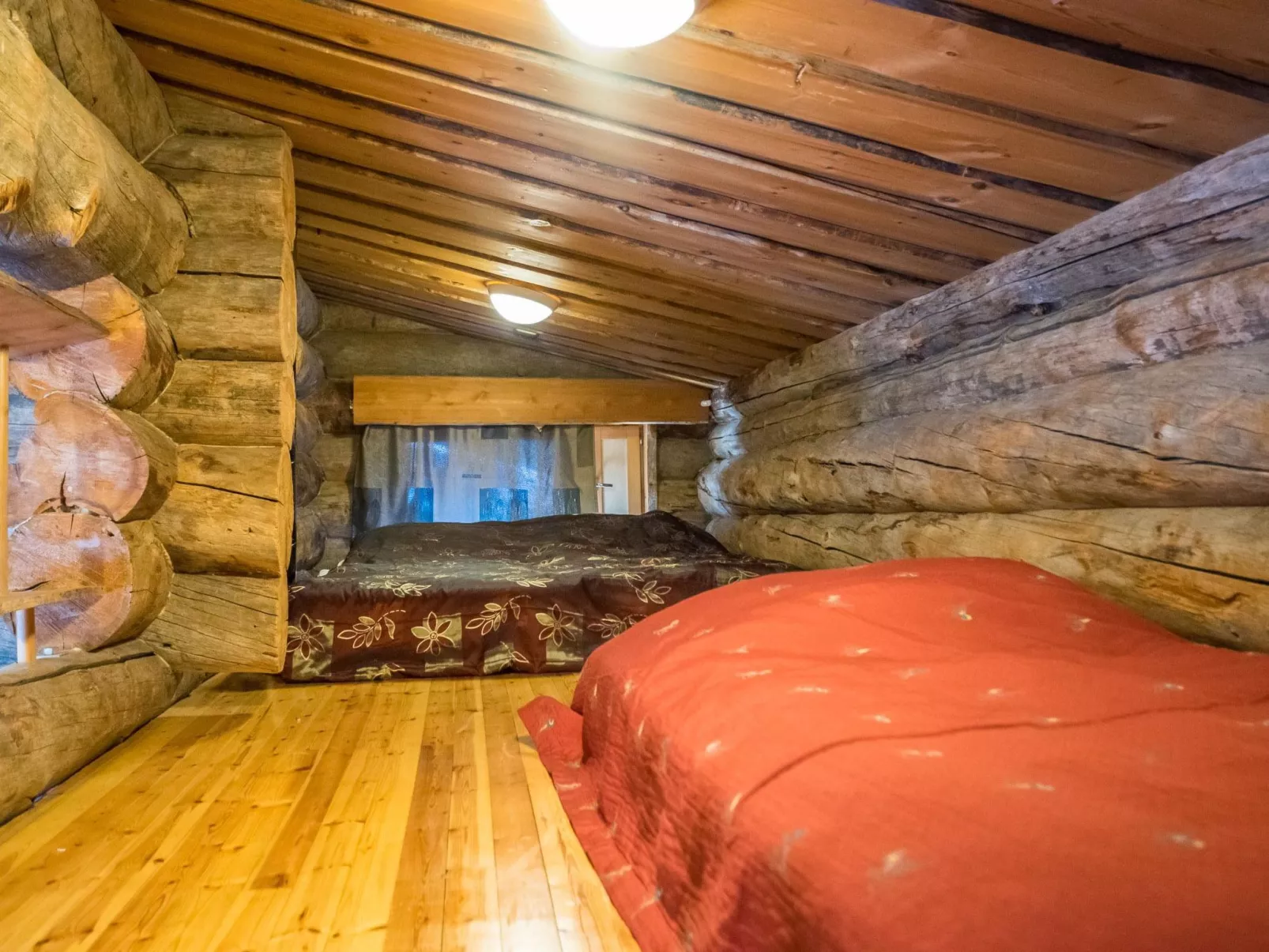 Mustalampi 2 kurkiaura-Dedans