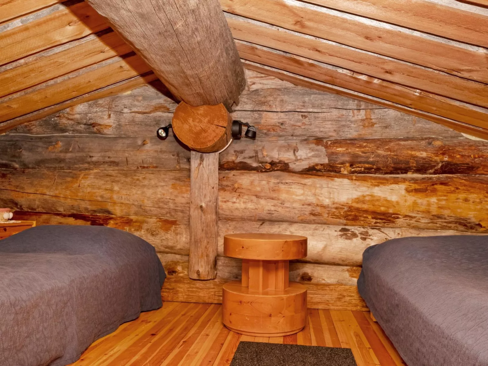 Villihanhi 7b-Dedans