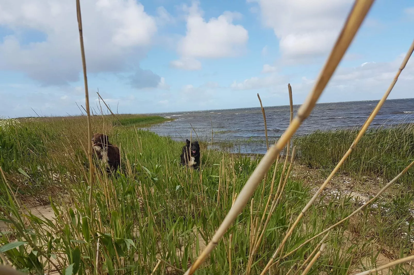 0 Personen Ferienhaus in Hemmet-Wasserblick