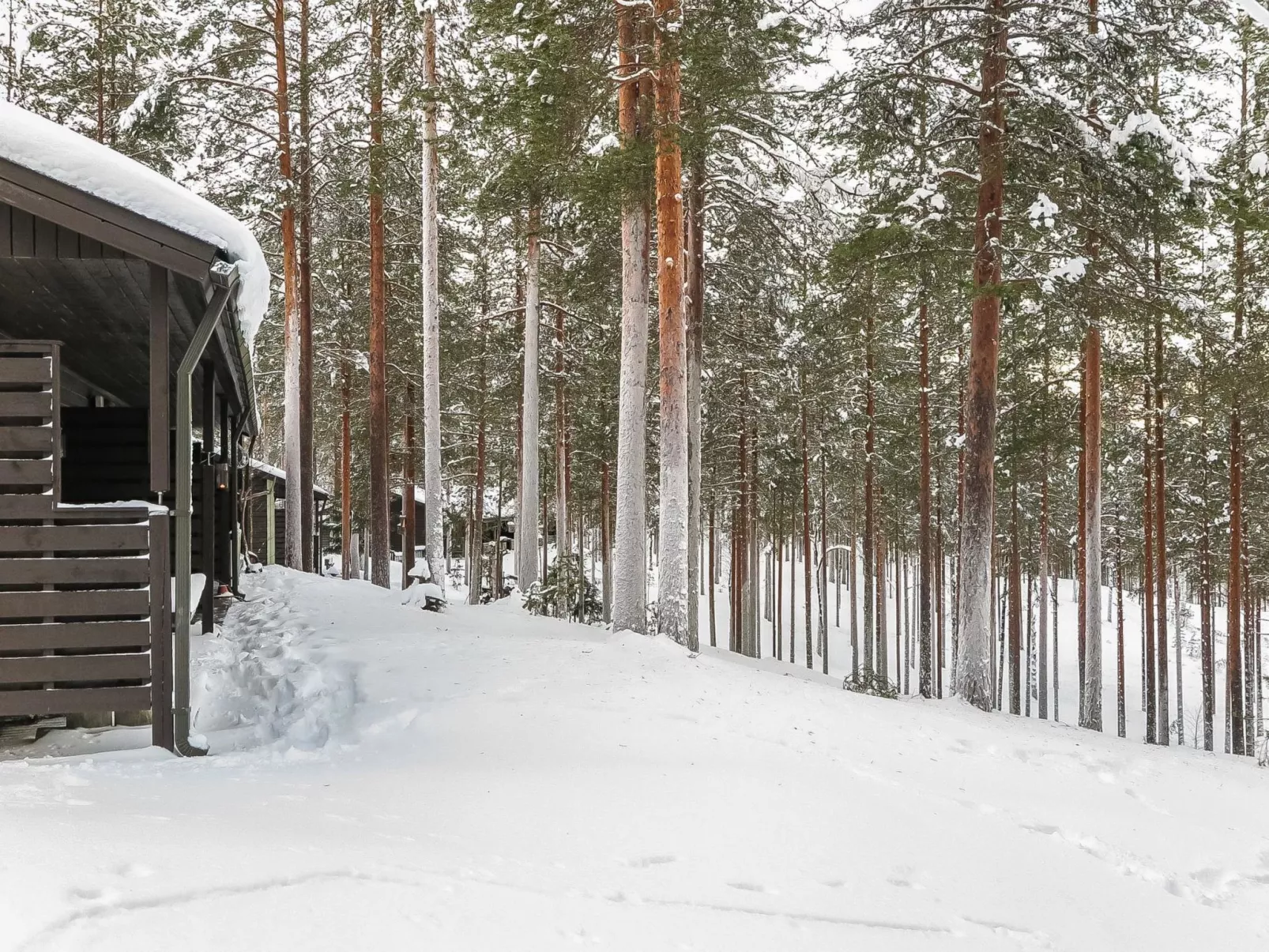 Rokua vaulutupa-Dedans