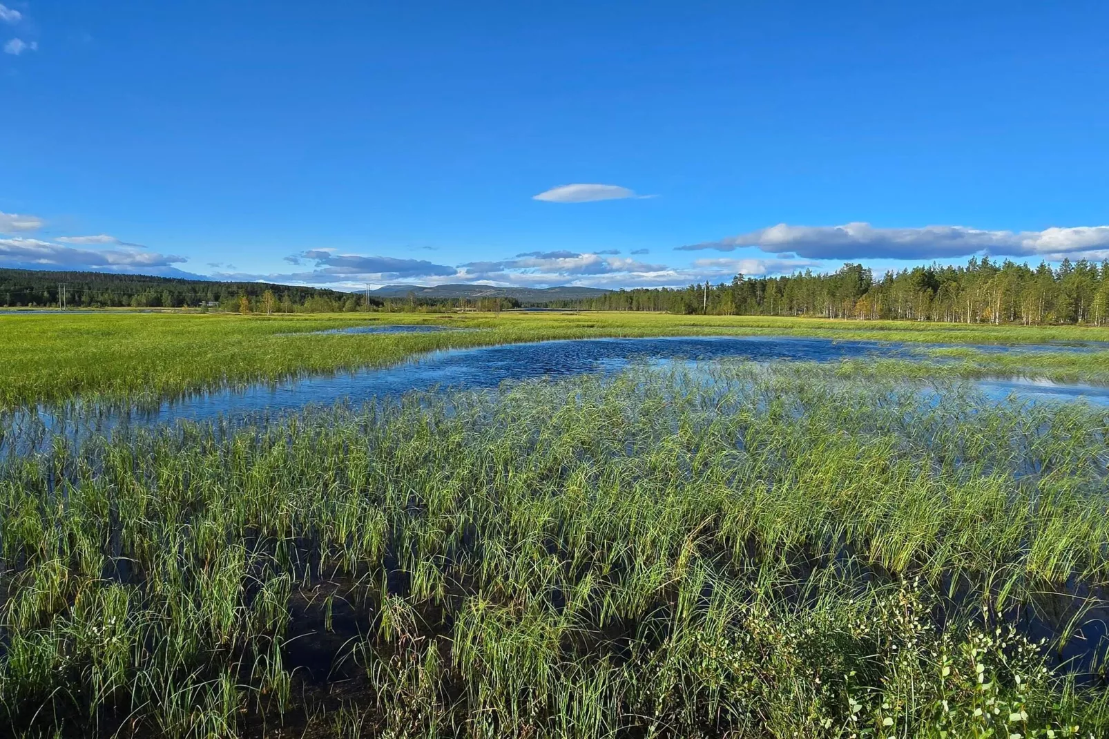 Maison de vacances pour 6 a Osen-Non tagué