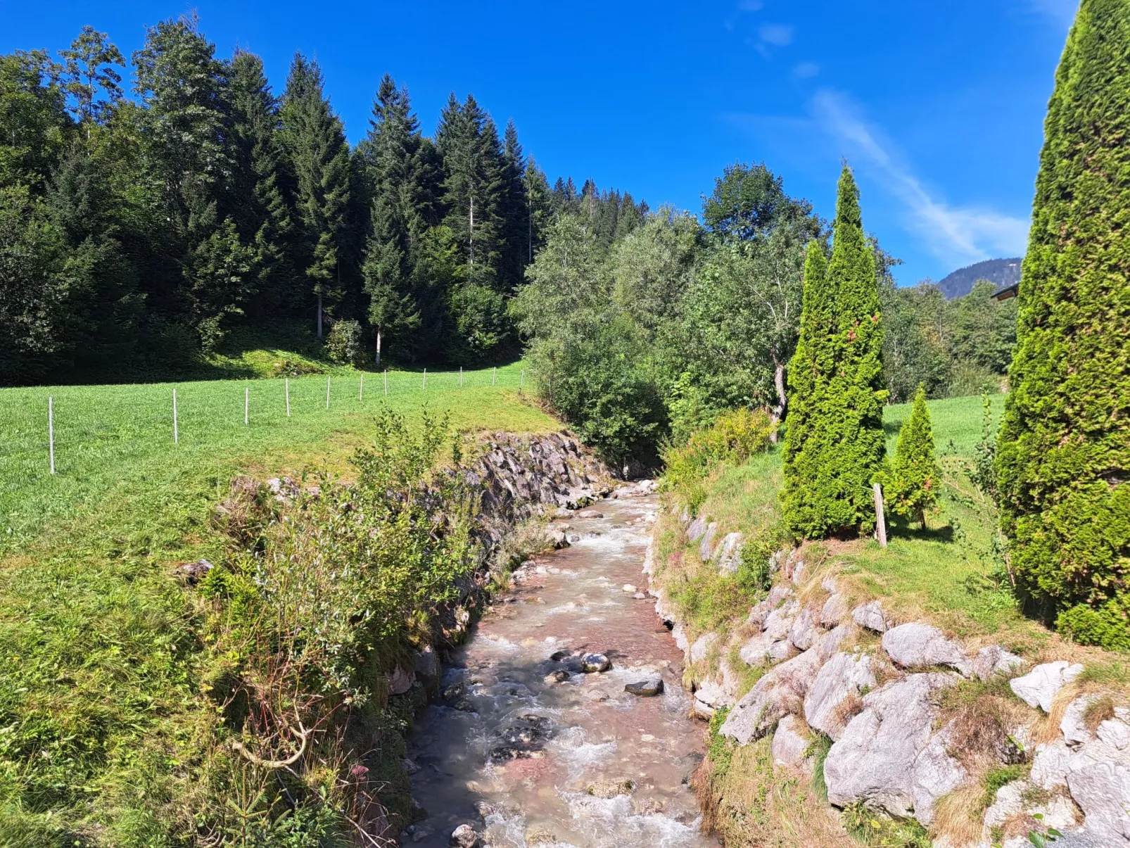 Waidmannsheil - 67qm-Outside