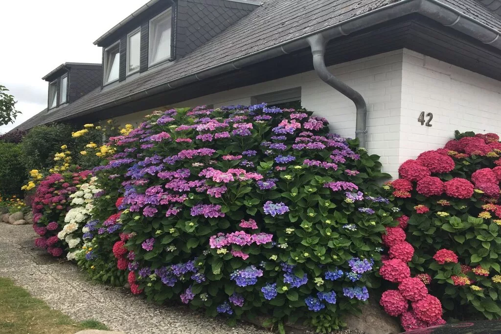 284171-Nicht zugeordnet