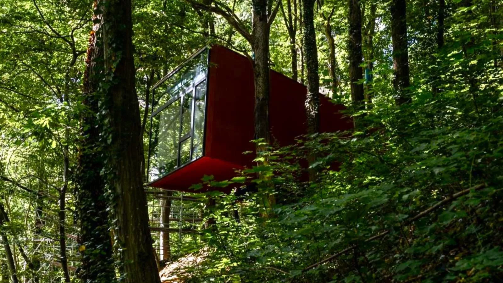 Cabane dans les arbres-Exterior in summer