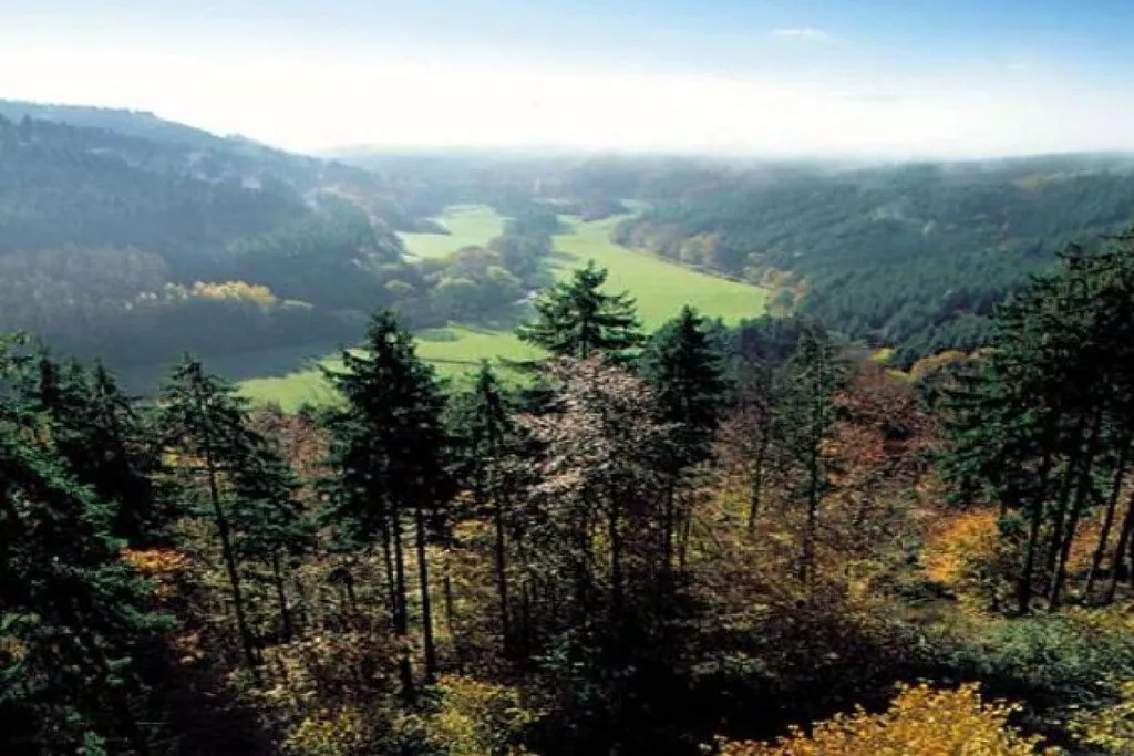 13565-Nicht zugeordnet