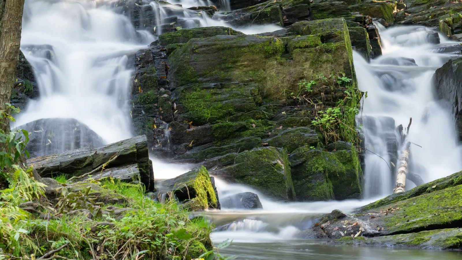 Schloss-Zones été à 20 km