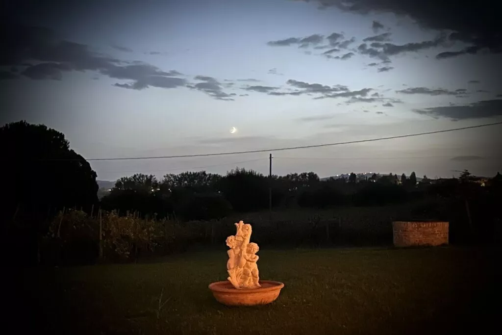 539353-Nicht zugeordnet