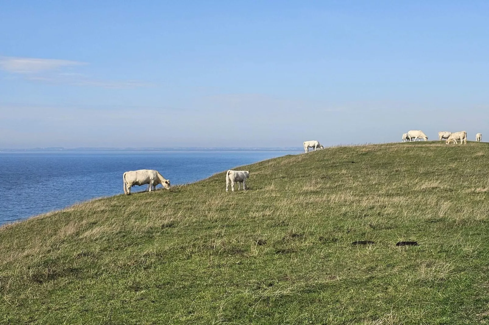 5 etoiles maison de vacances a Löderup-Non tagué