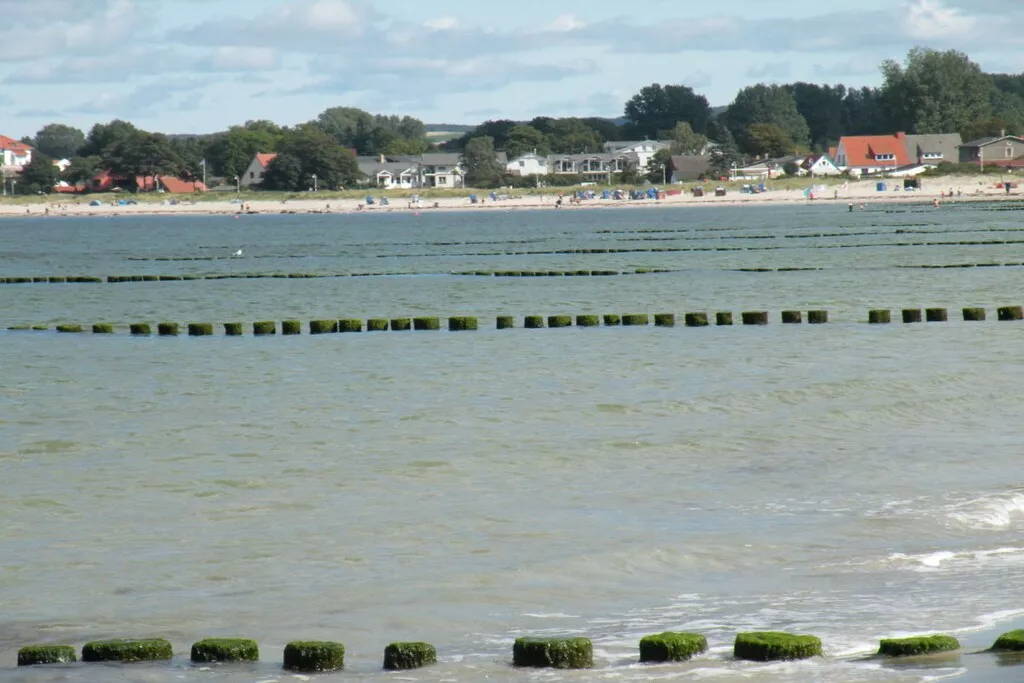 228502-Nicht zugeordnet