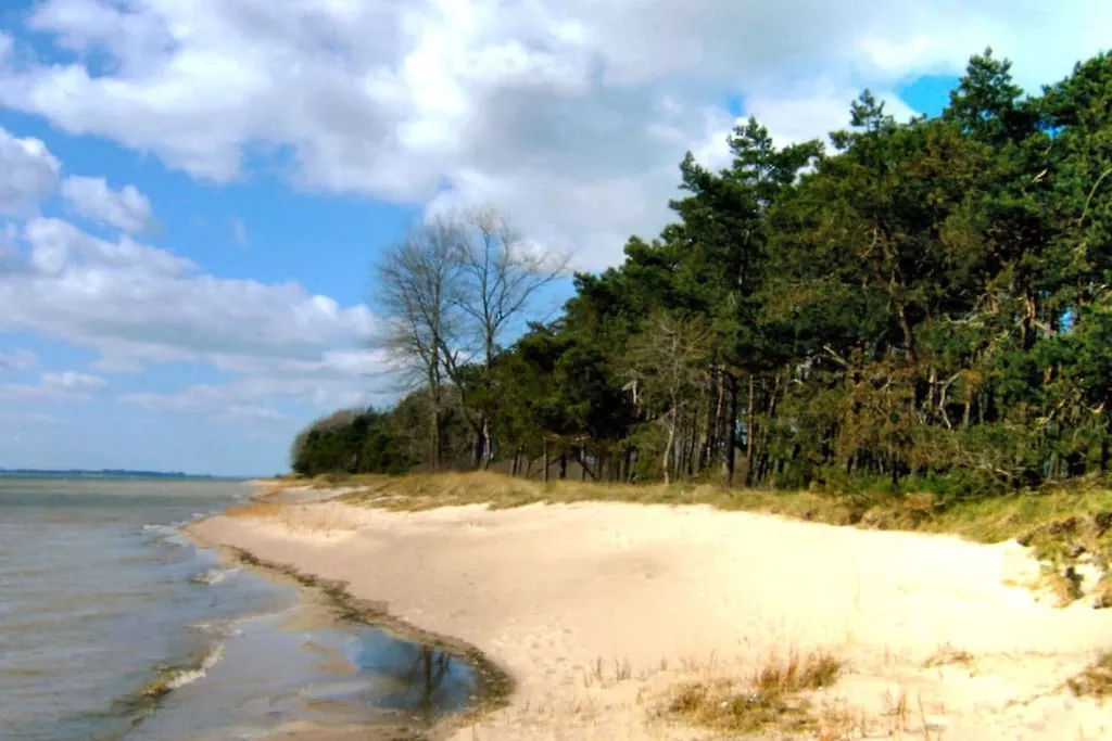 66999-Nicht zugeordnet