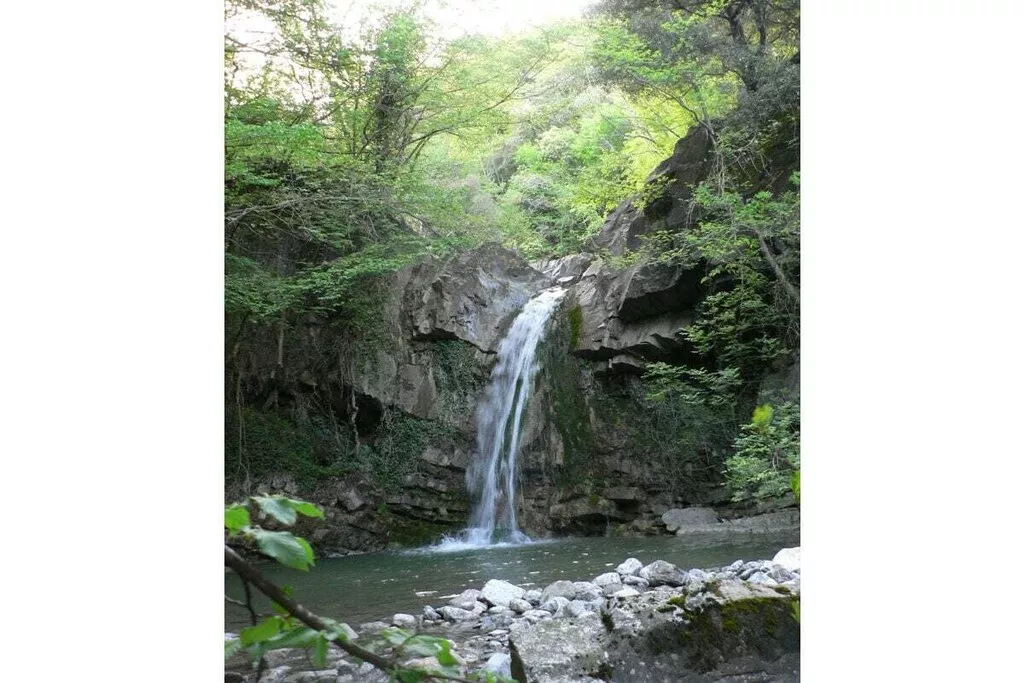 29689-Nicht zugeordnet