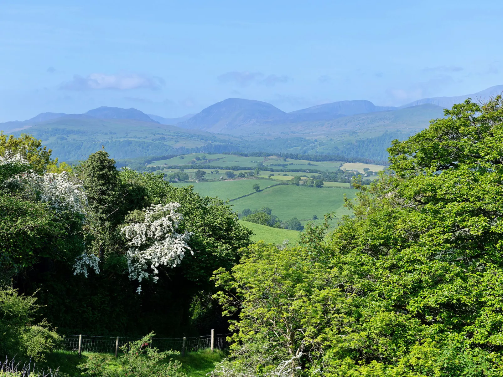Red Kites Retreat-Dehors