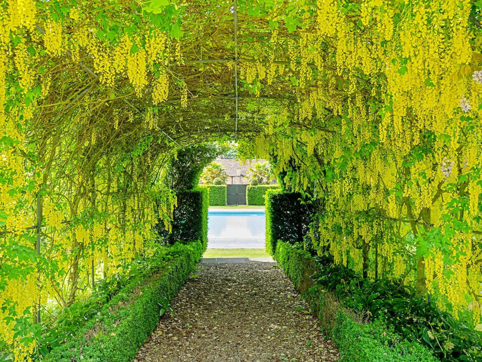 Tormarton Court-Dehors