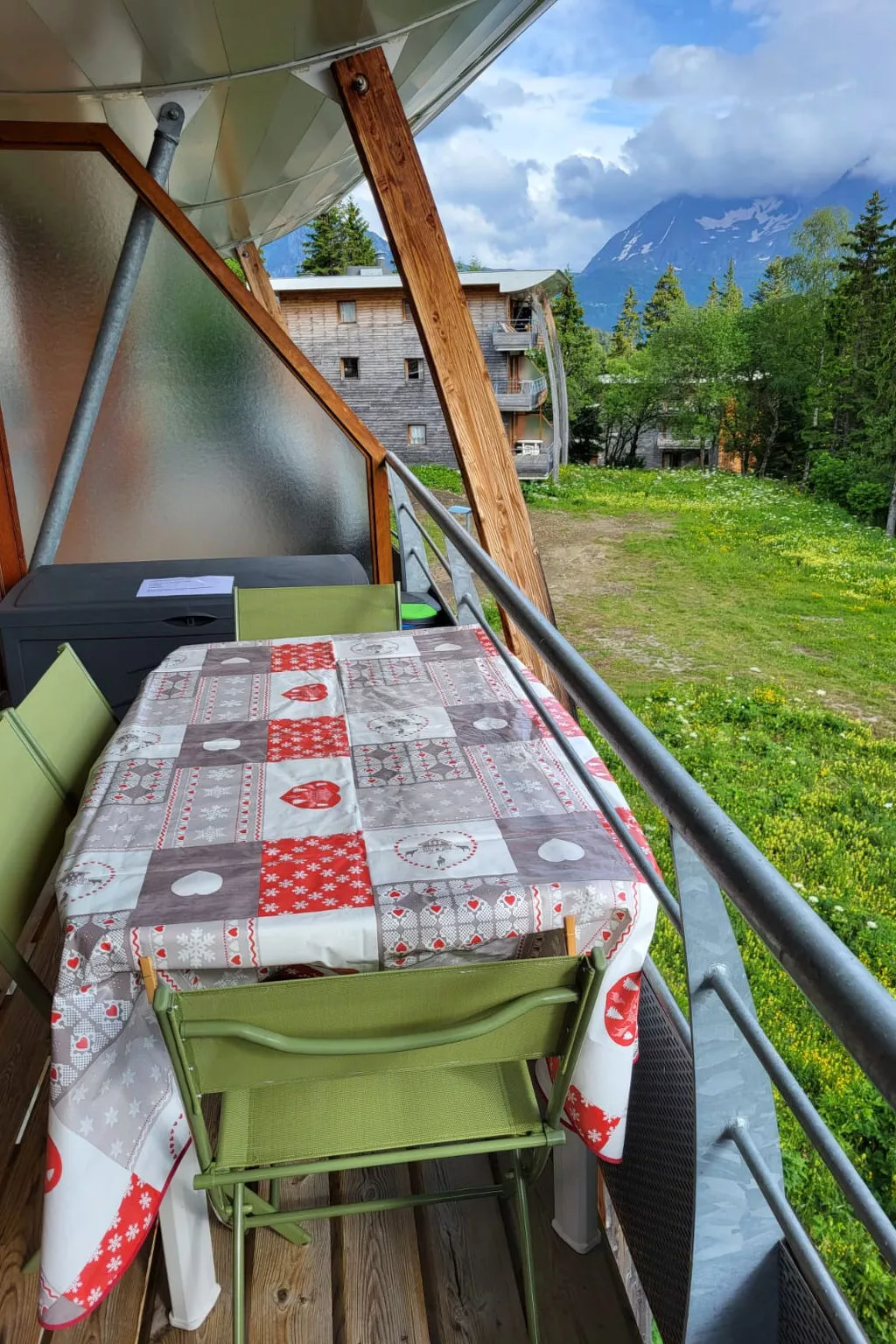 V du Bachat Asters B-Dehors