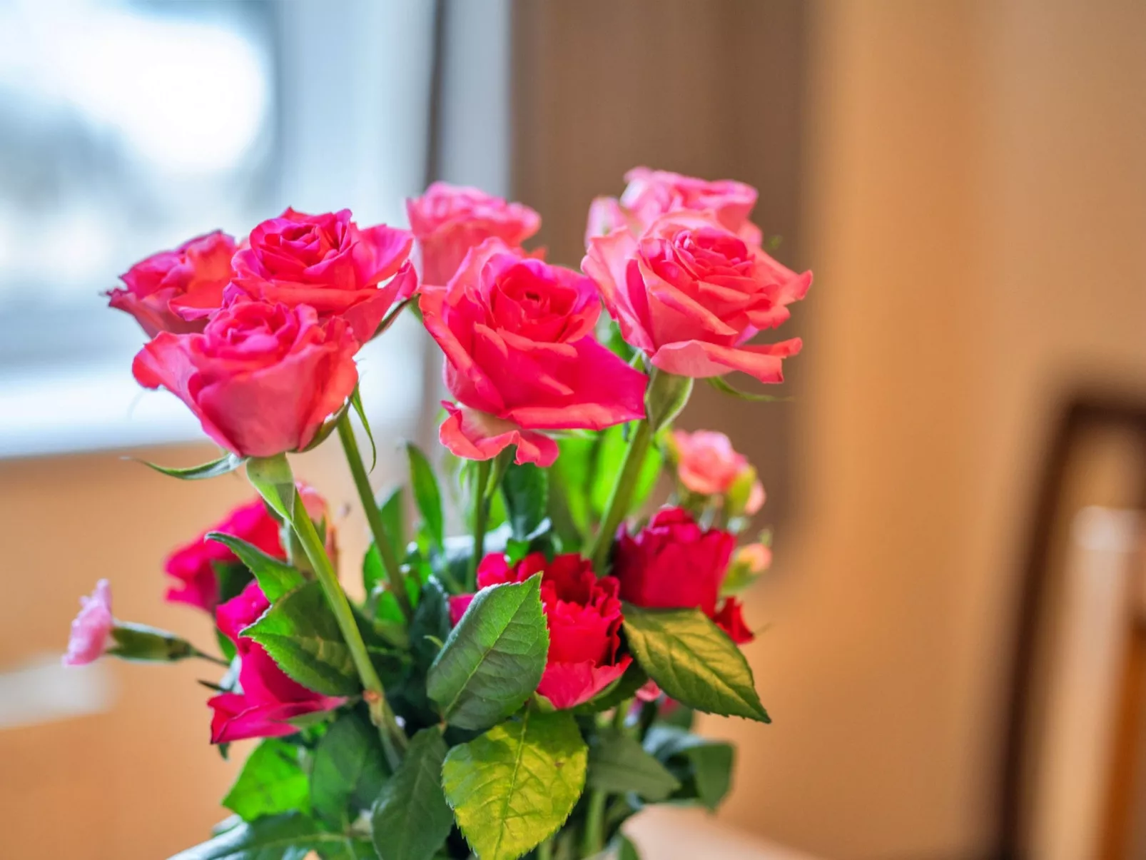 No.1 Gladys' Orchard-Drinnen