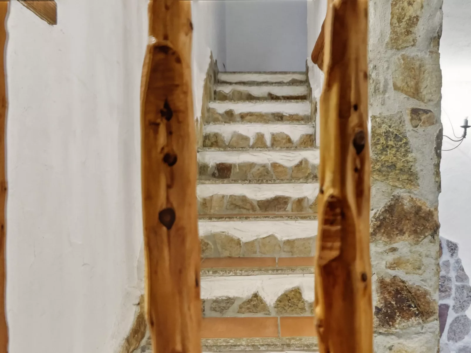 Sporting House-Inside