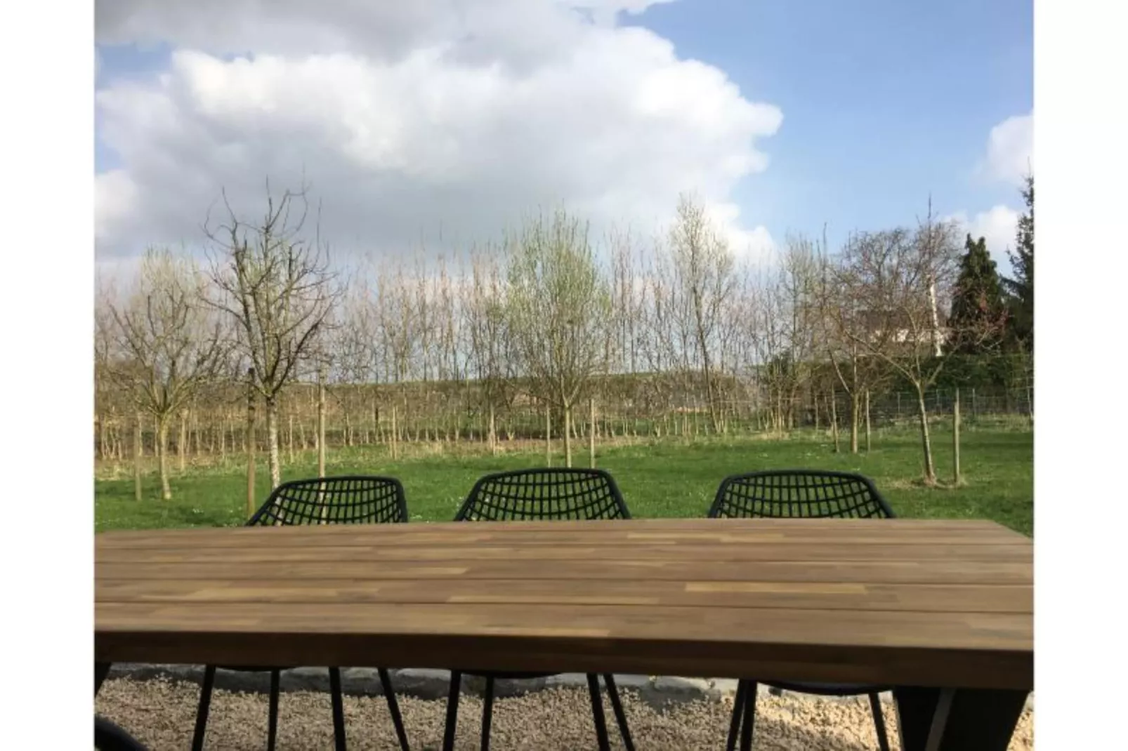 Huis van de raaf-Garten Sommer