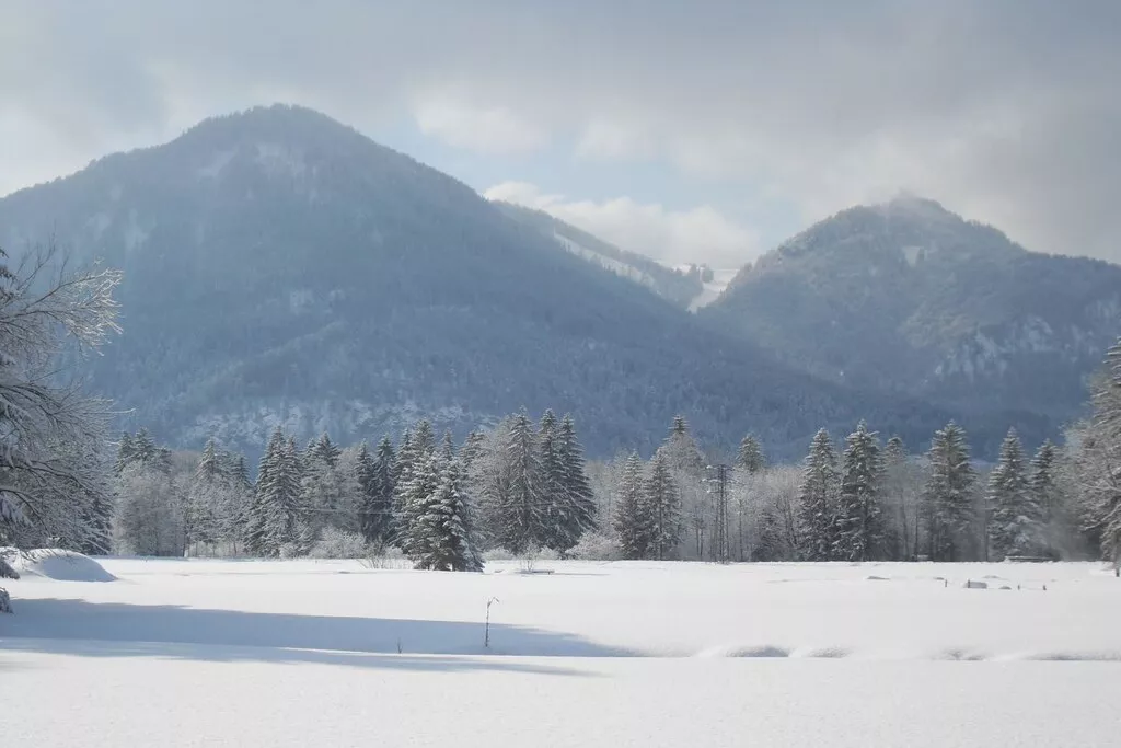 87581-Nicht zugeordnet