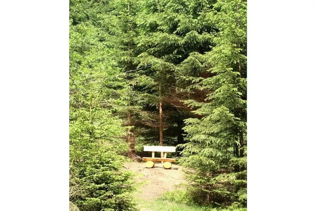 14349-Nicht zugeordnet