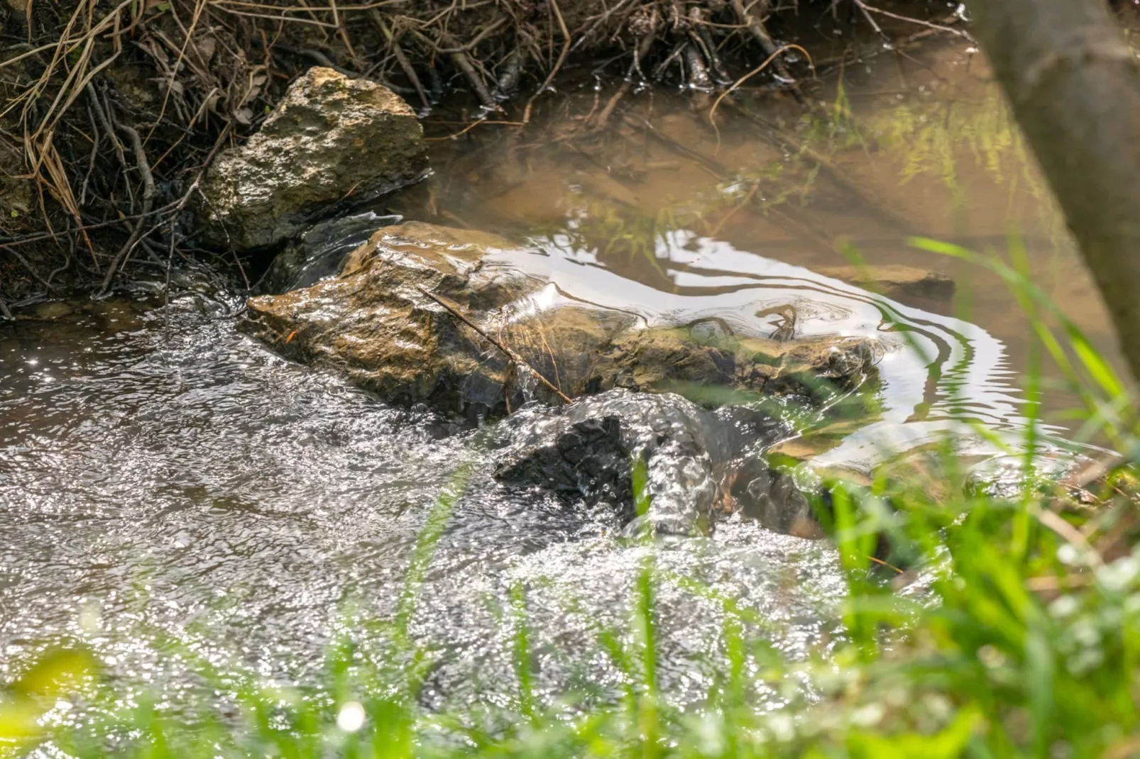 Robinzonski Kamp Hofman - Private Bungalow-Extérieur