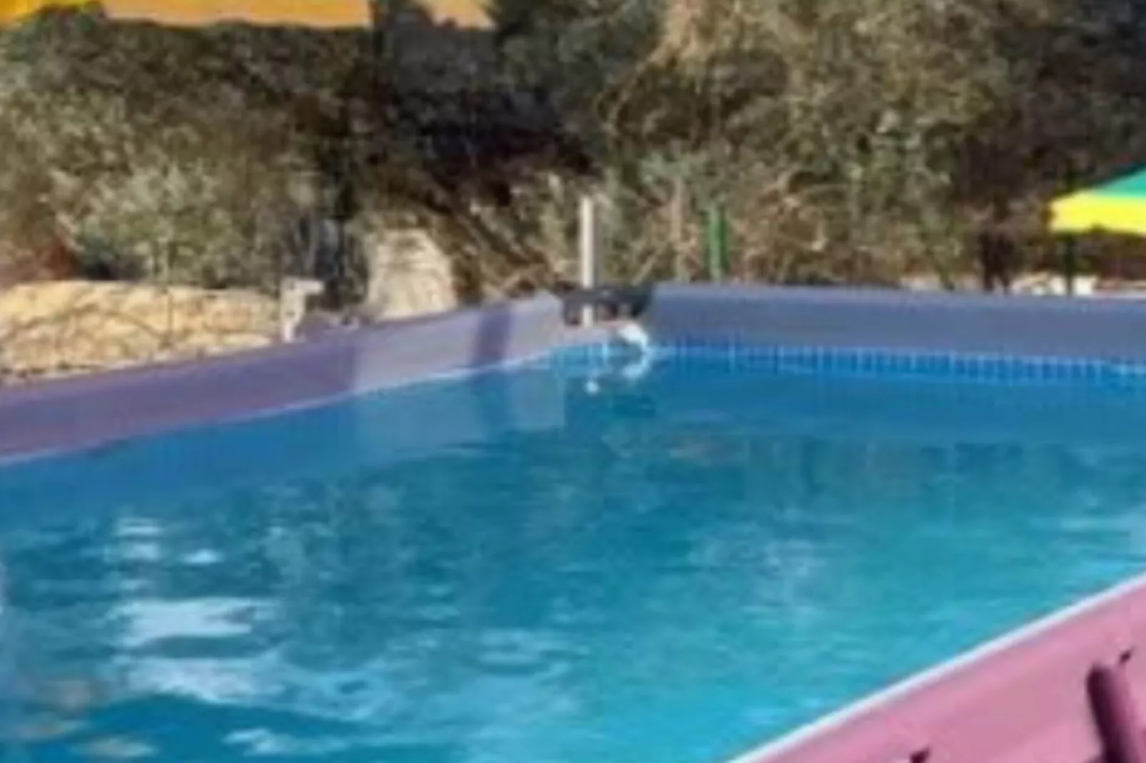 Holiday Home Village Paradise-Piscine