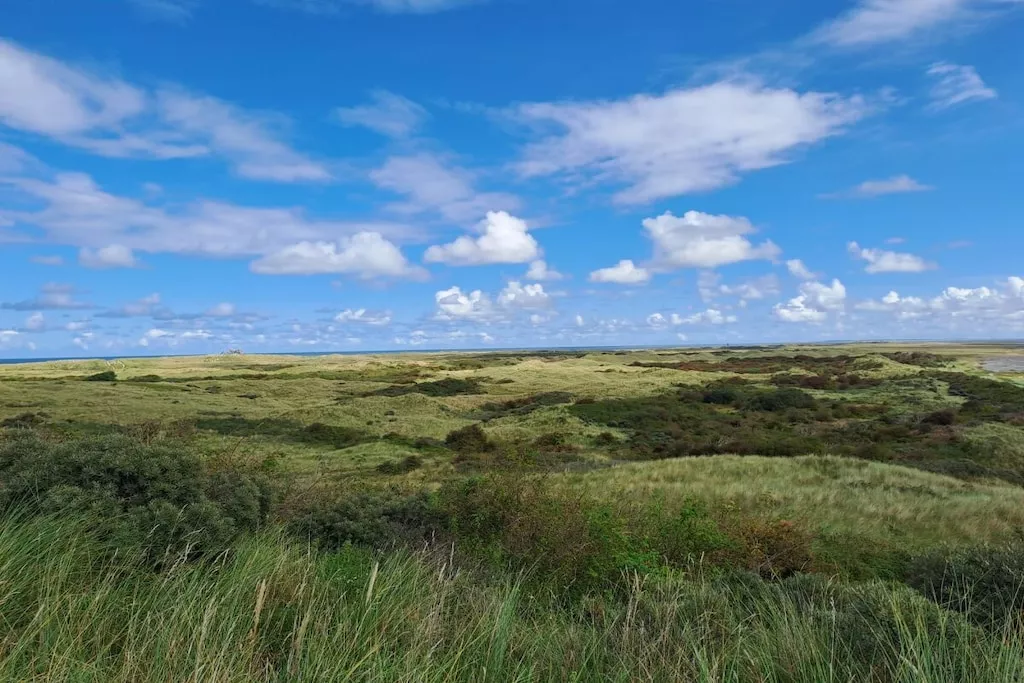 492472-Nicht zugeordnet