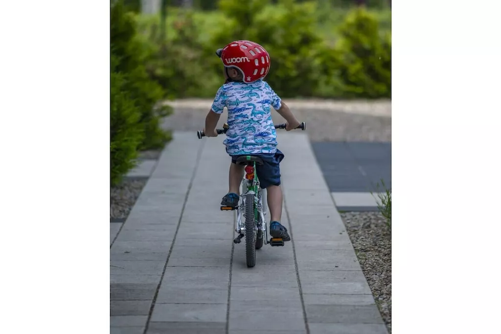 241695-Nicht zugeordnet