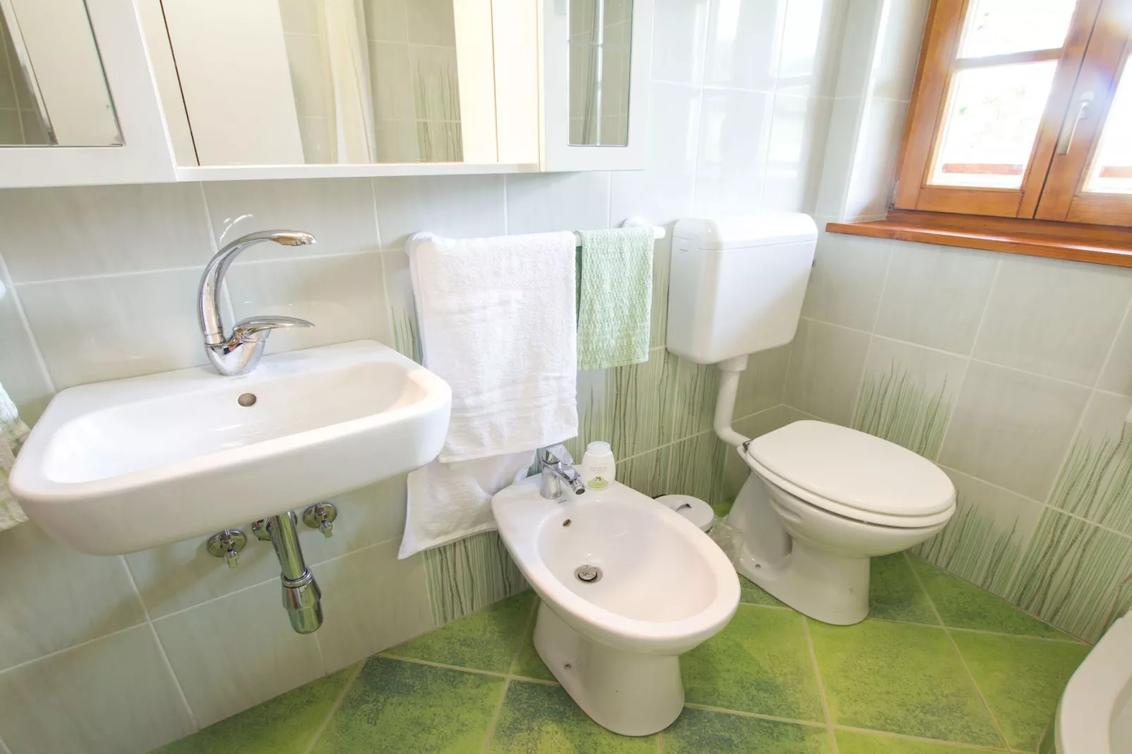 Sunny Two Bedroom Retreat in Beautiful Bizeljsko - Two Bedroom Country House-Bathroom