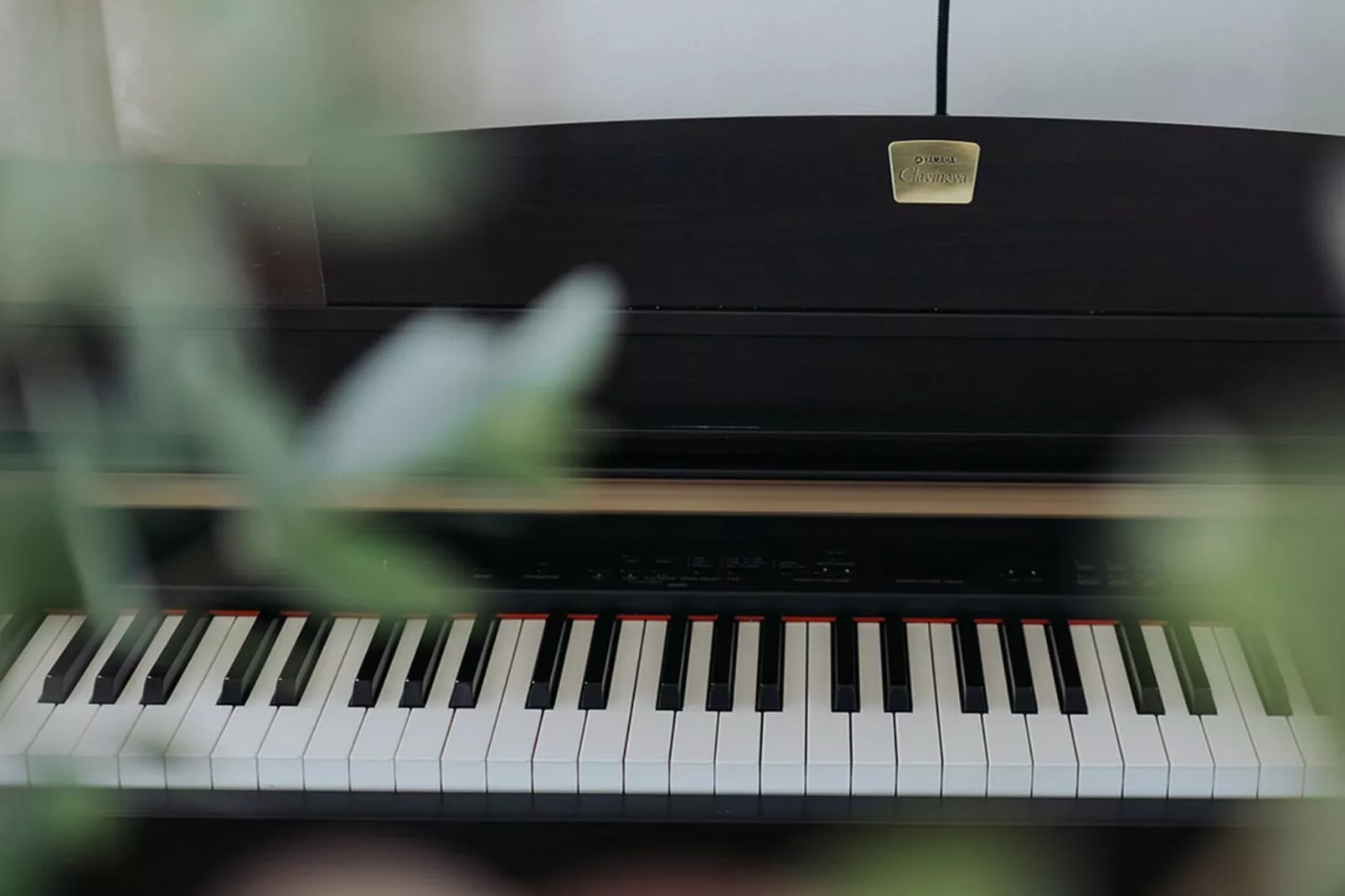 Enchanted Misty Valley Cottage Apartments - Standard One Bedroom Apartment (owner 3)-Innenbereich