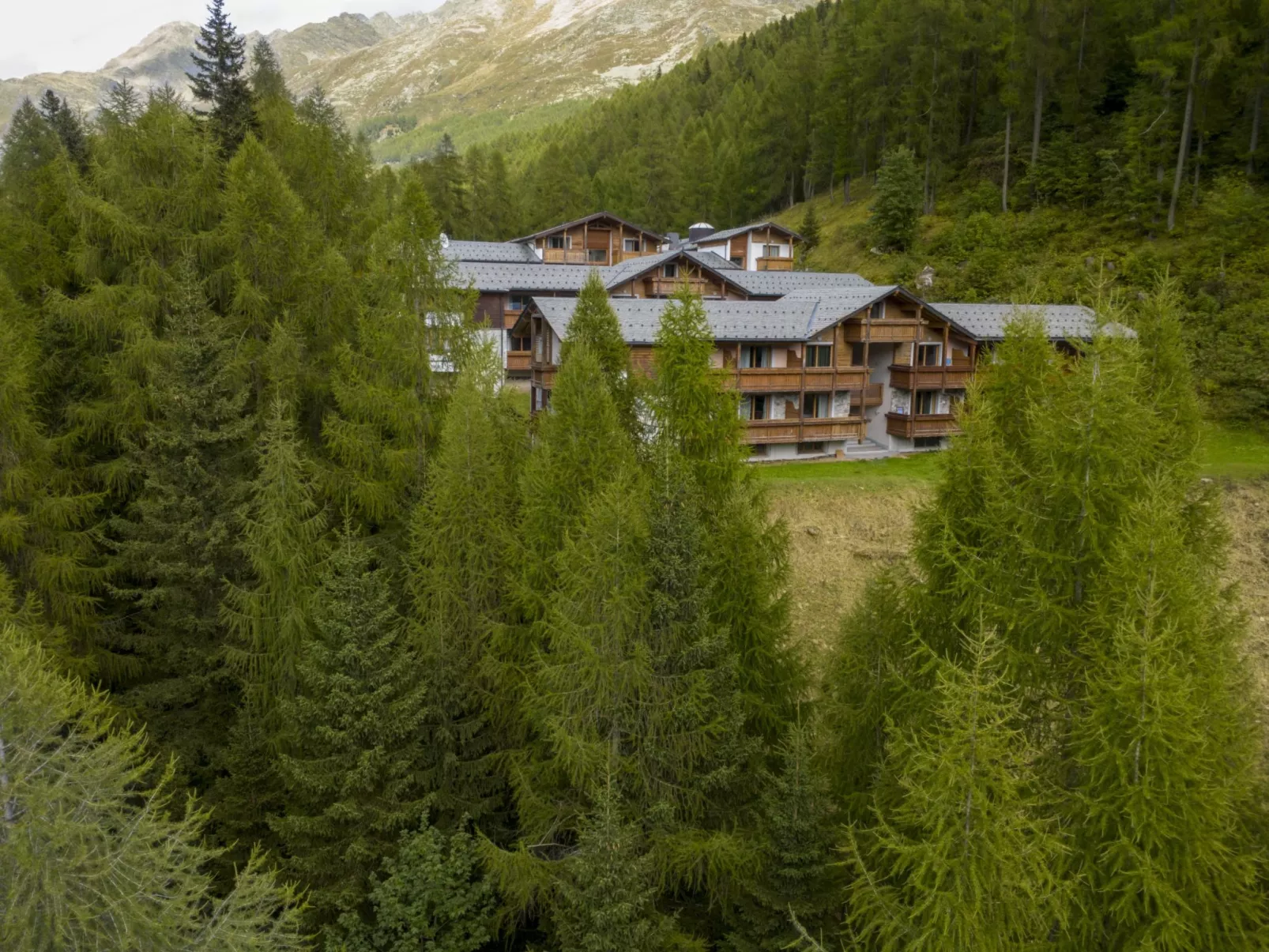 Residence gli Scoiattoli-Outside