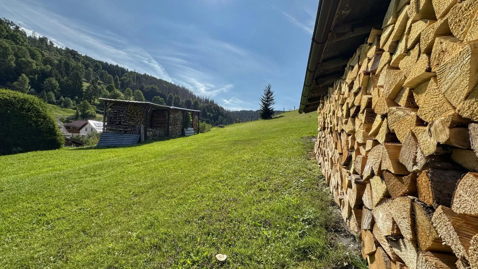 Talblick-Jardins en été